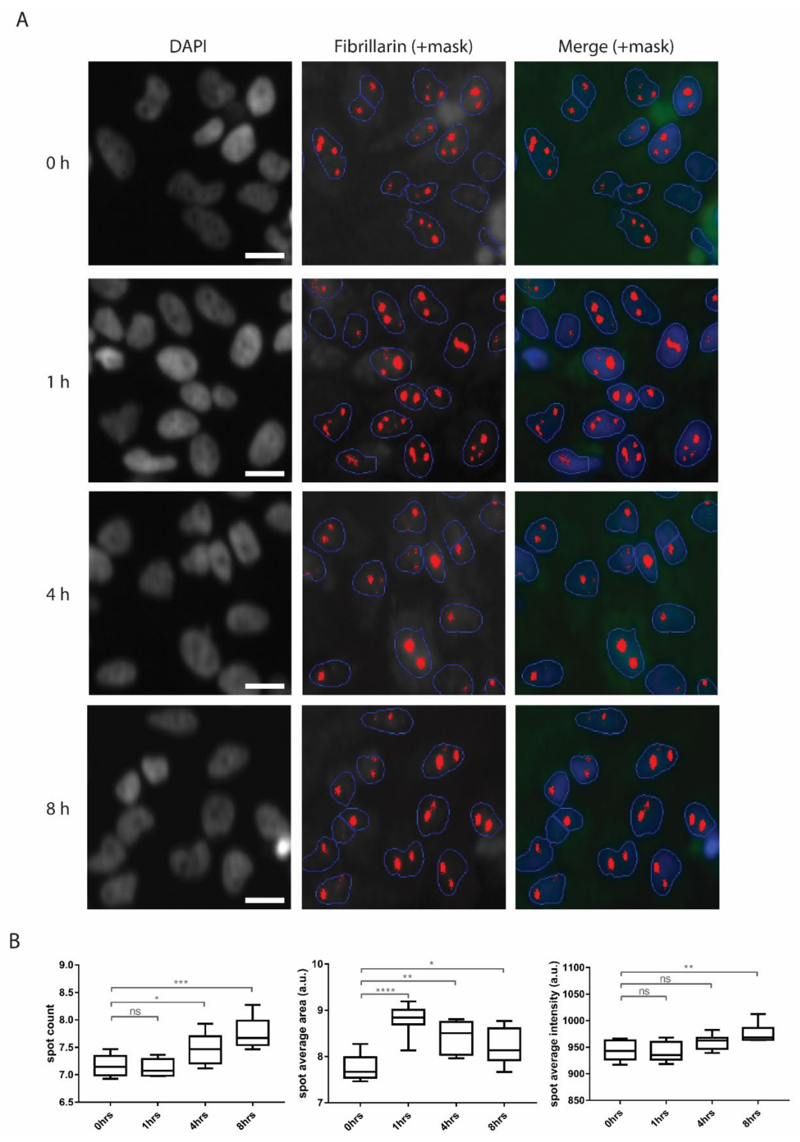 Biomolecules 10 01567 g006