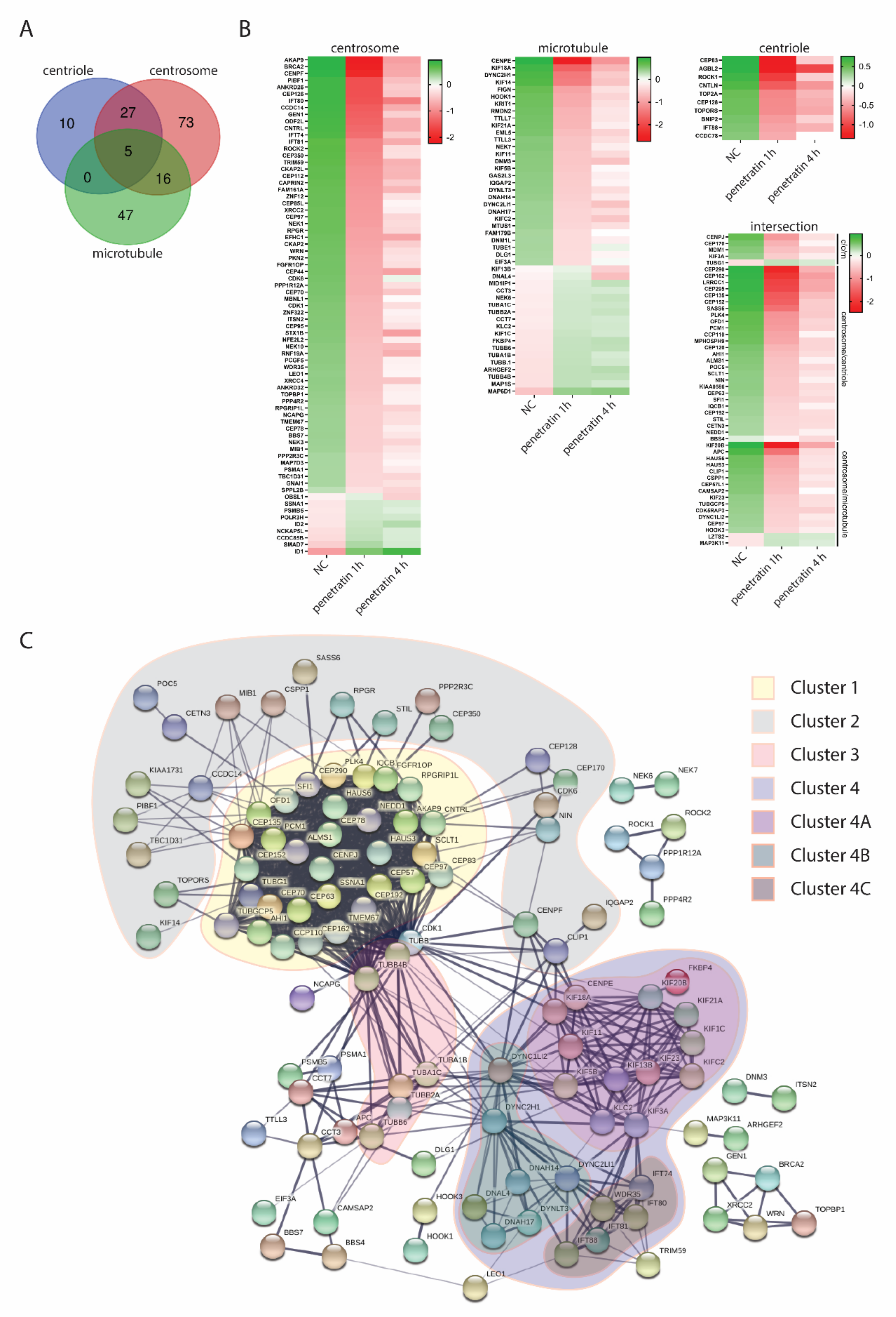 Biomolecules 10 01567 g007