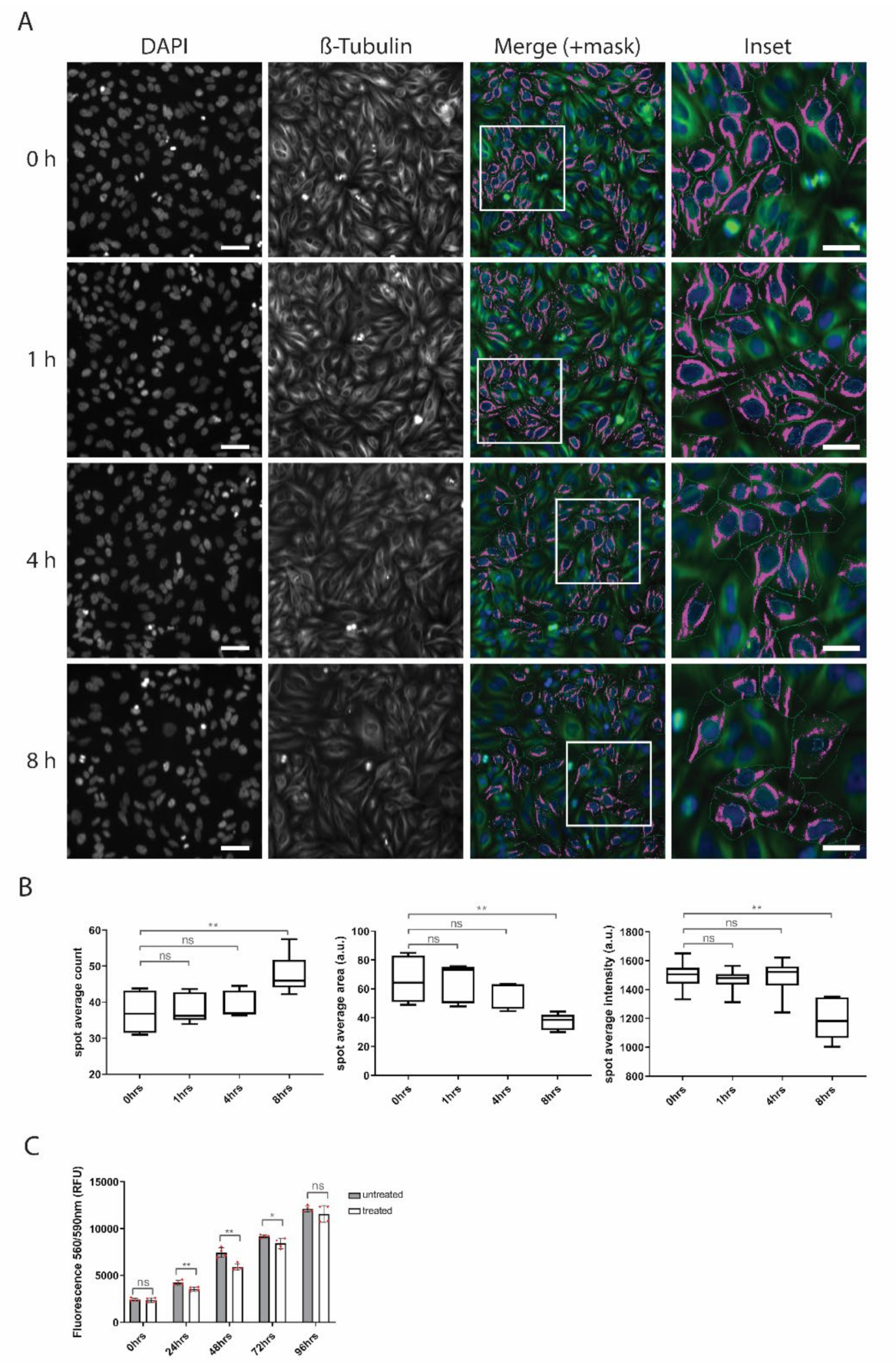 Biomolecules 10 01567 g008