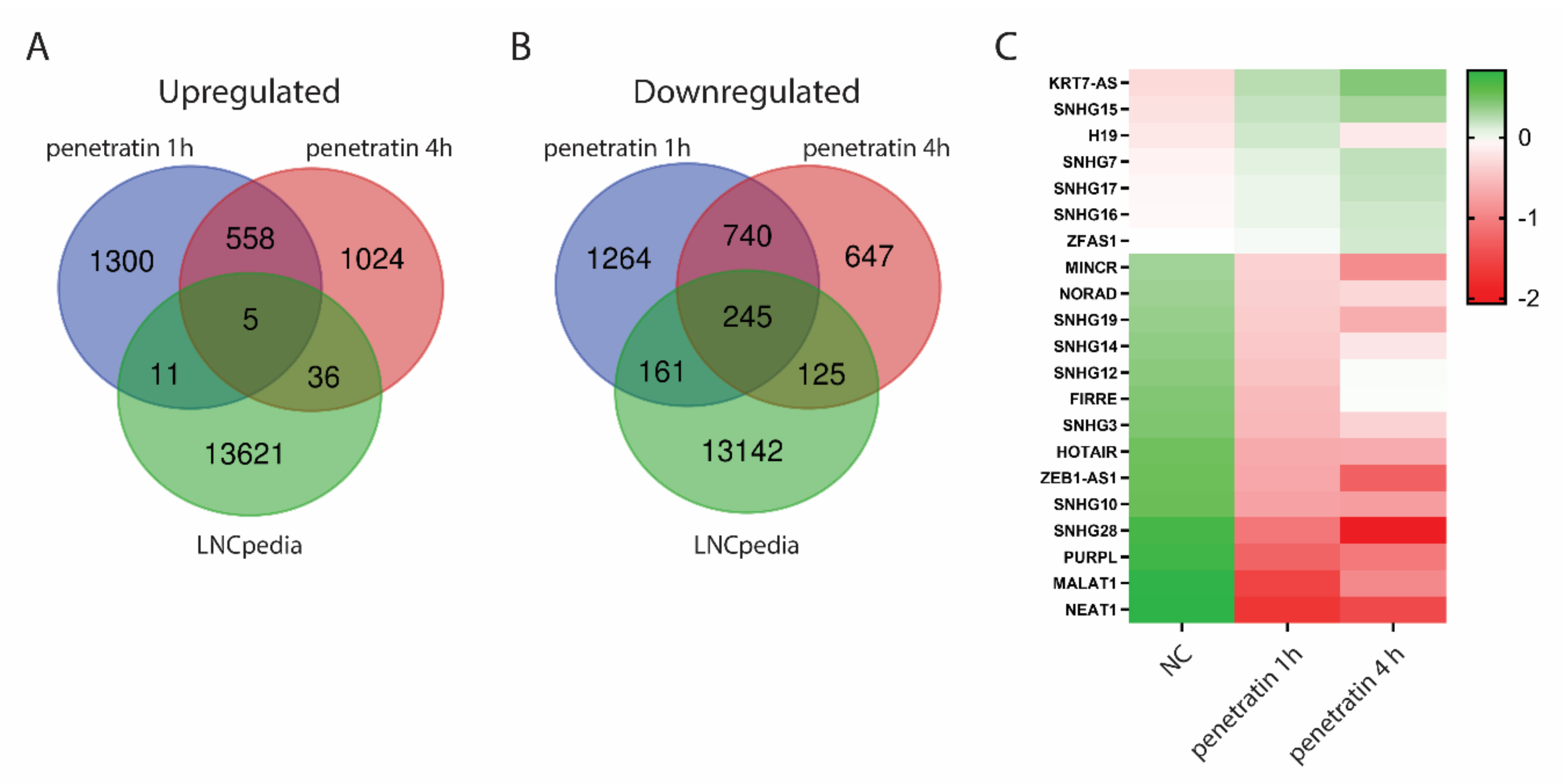Biomolecules 10 01567 g009