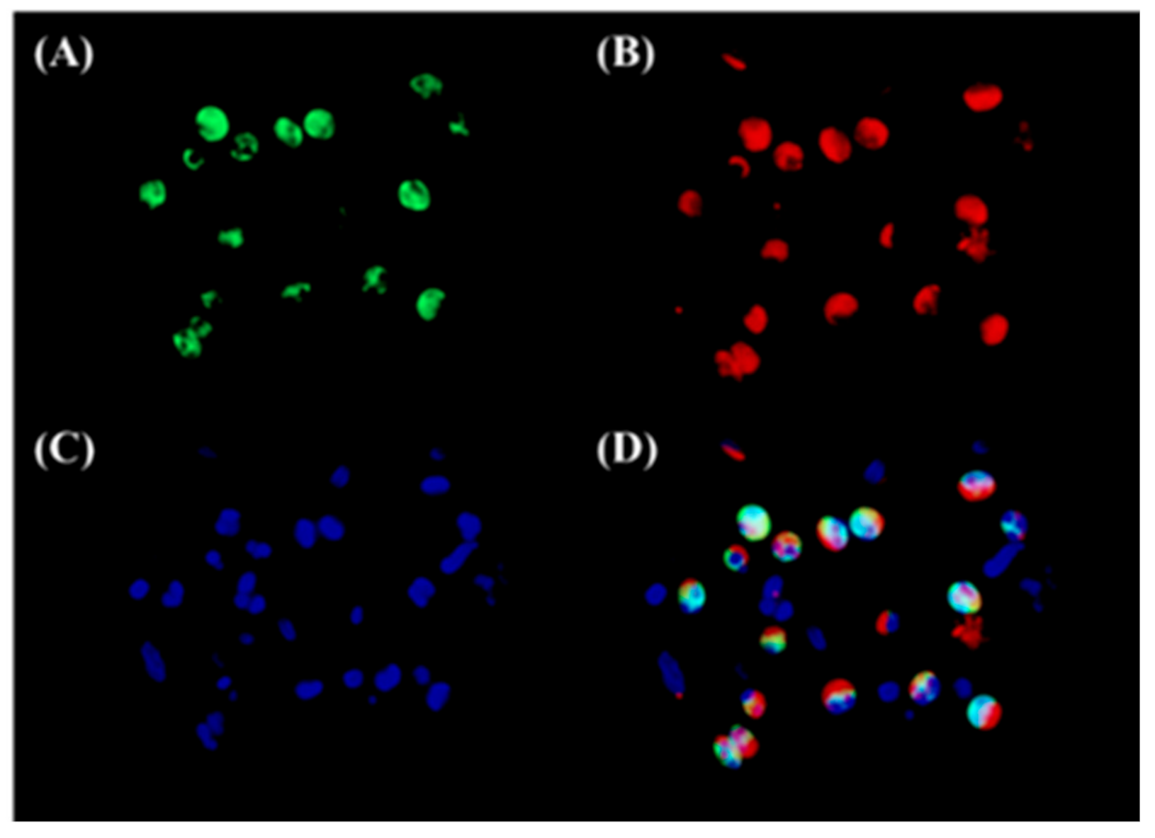 Biomolecules 10 01568 g003