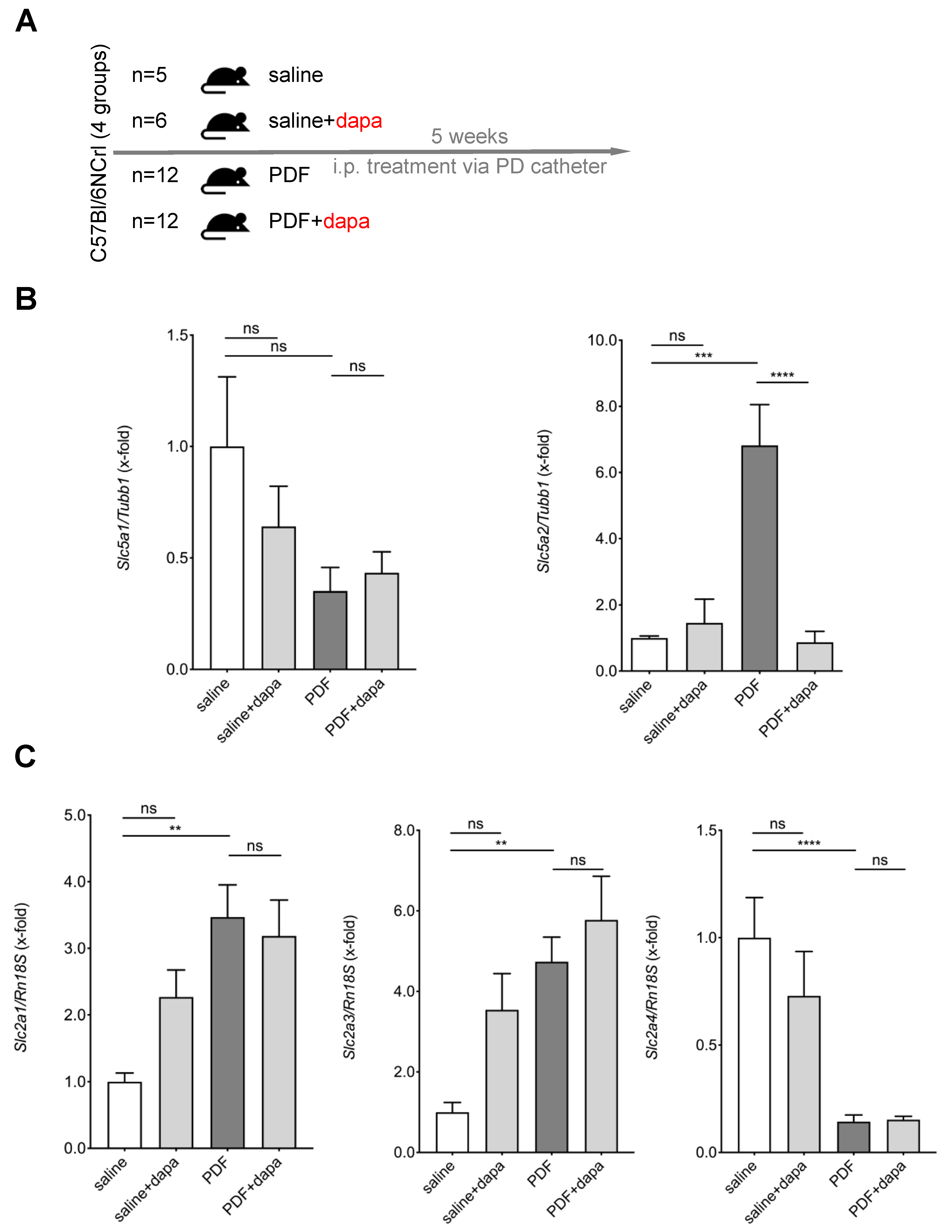 Biomolecules 10 01573 g002 Biomolecules 10 01573 g002