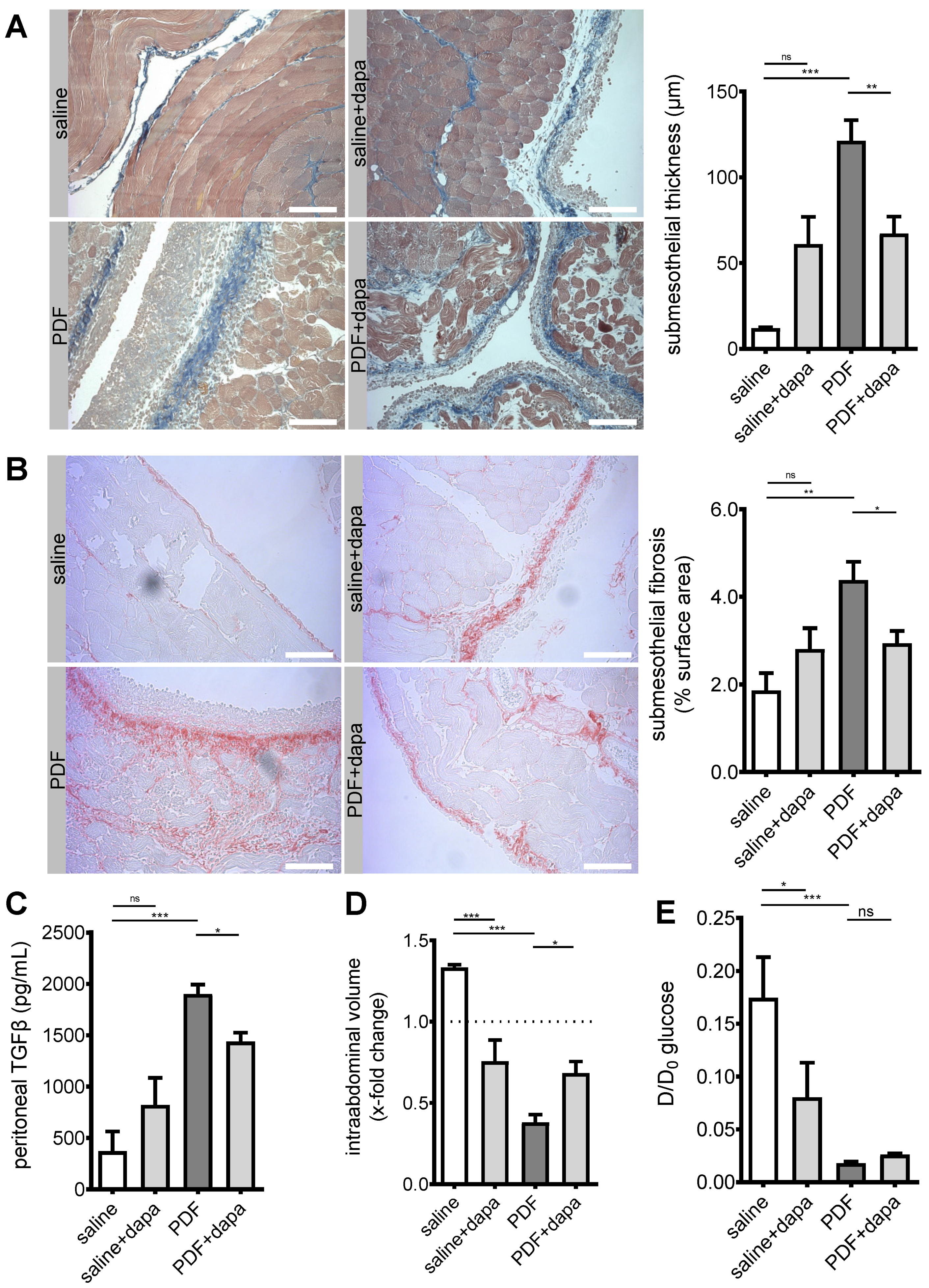 Biomolecules 10 01573 g003 Biomolecules 10 01573 g003