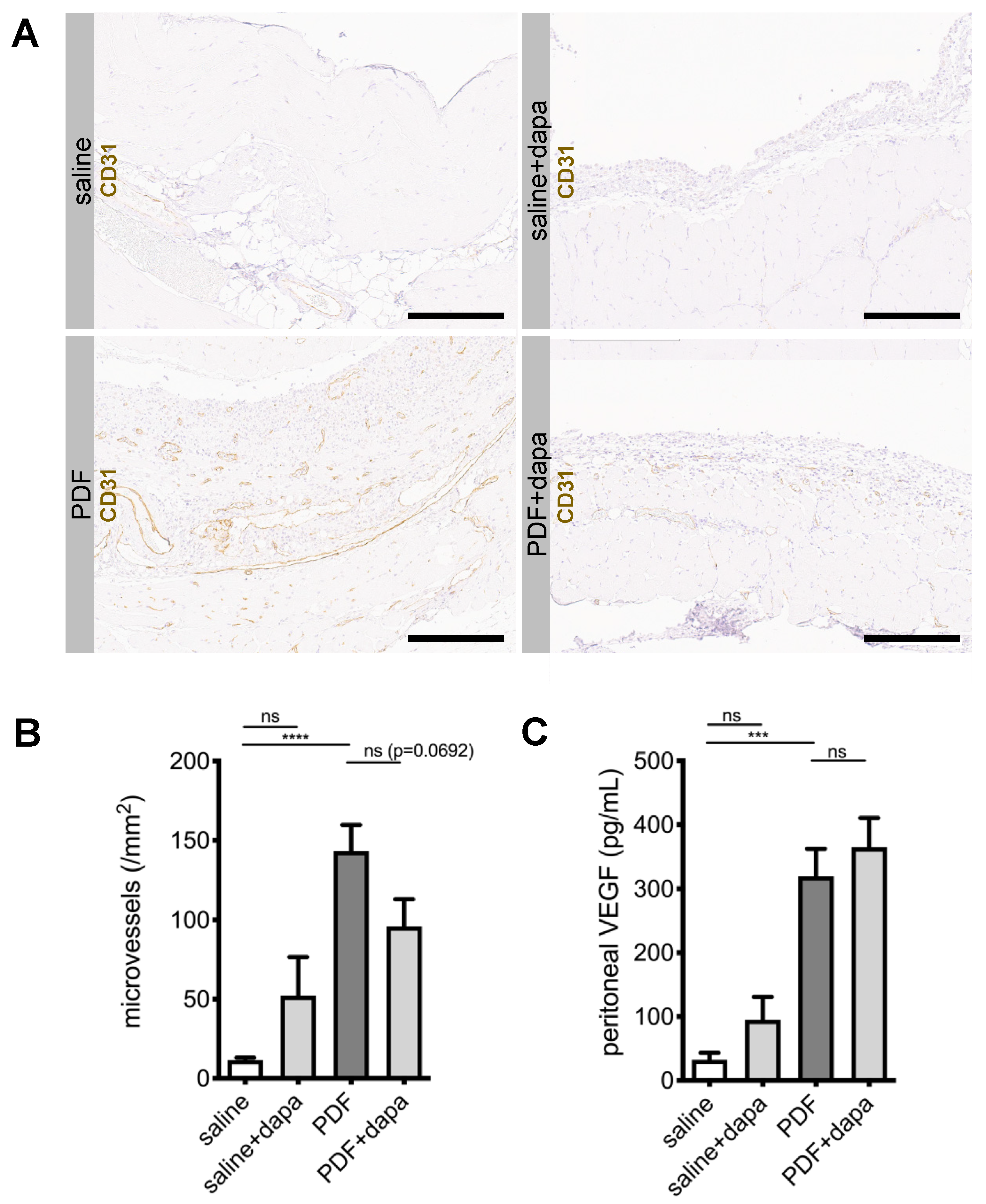Biomolecules 10 01573 g004 Biomolecules 10 01573 g004