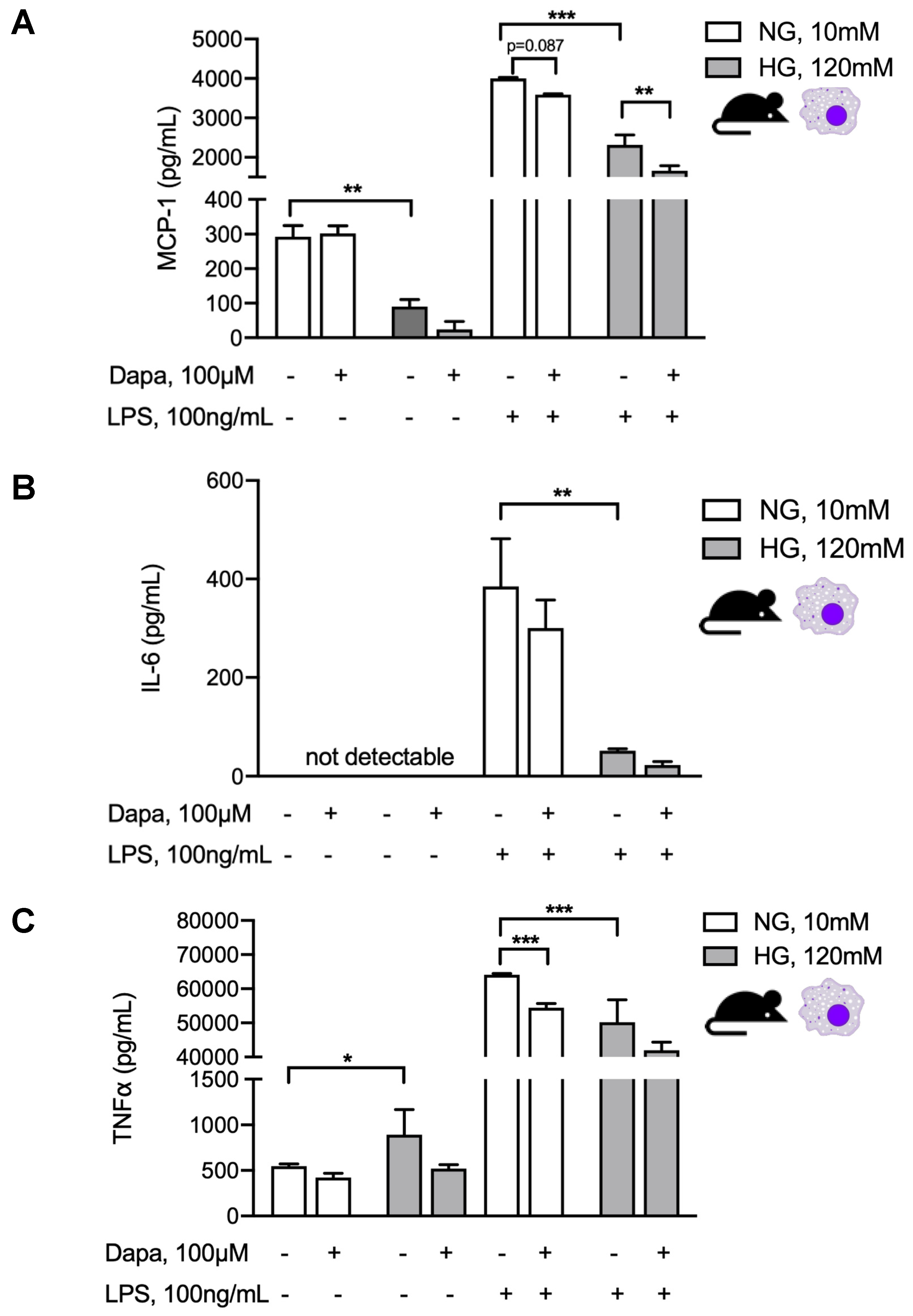 Biomolecules 10 01573 g007 Biomolecules 10 01573 g007