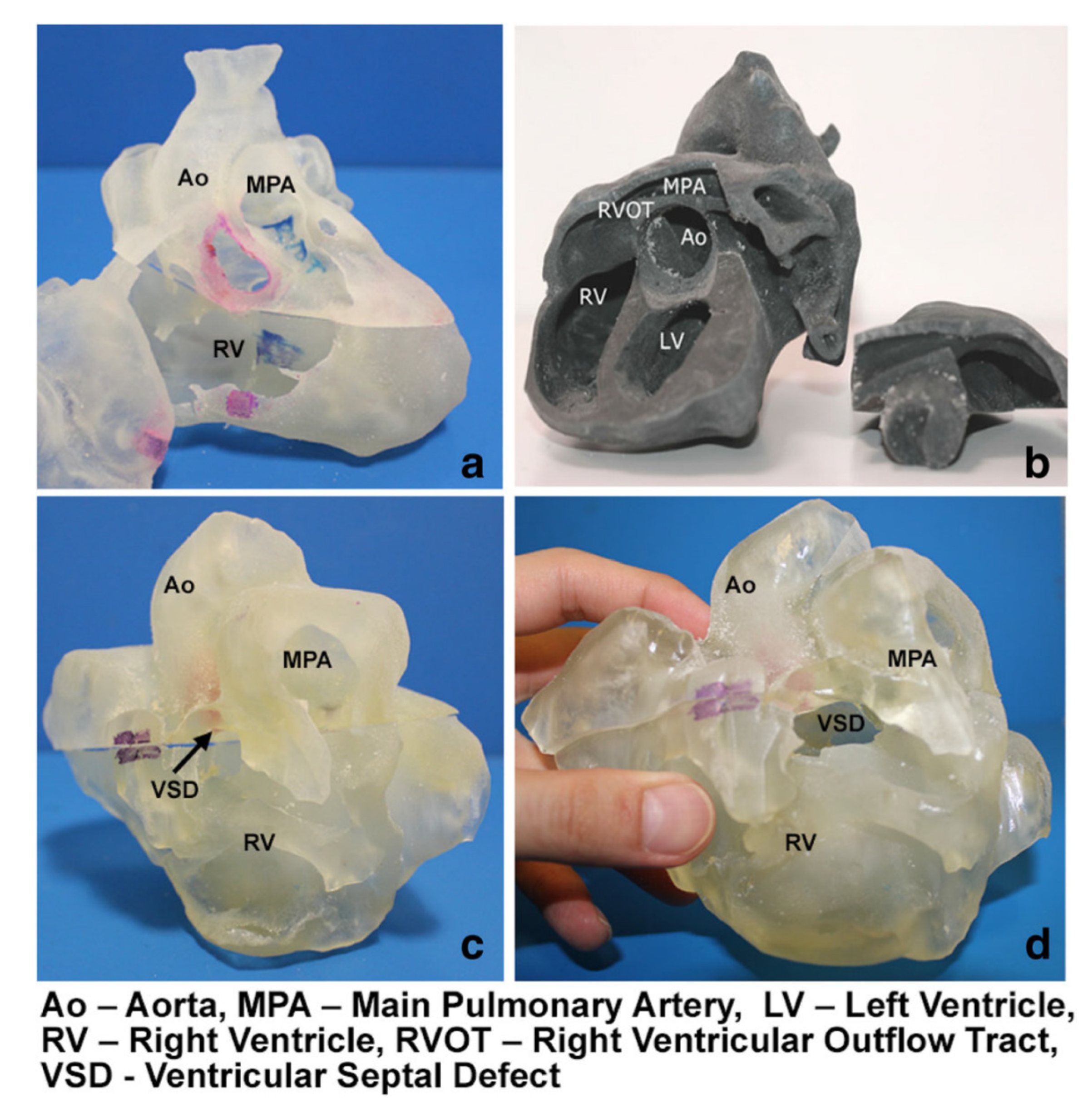 Biomolecules 10 01577 g003 Biomolecules 10 01577 g003
