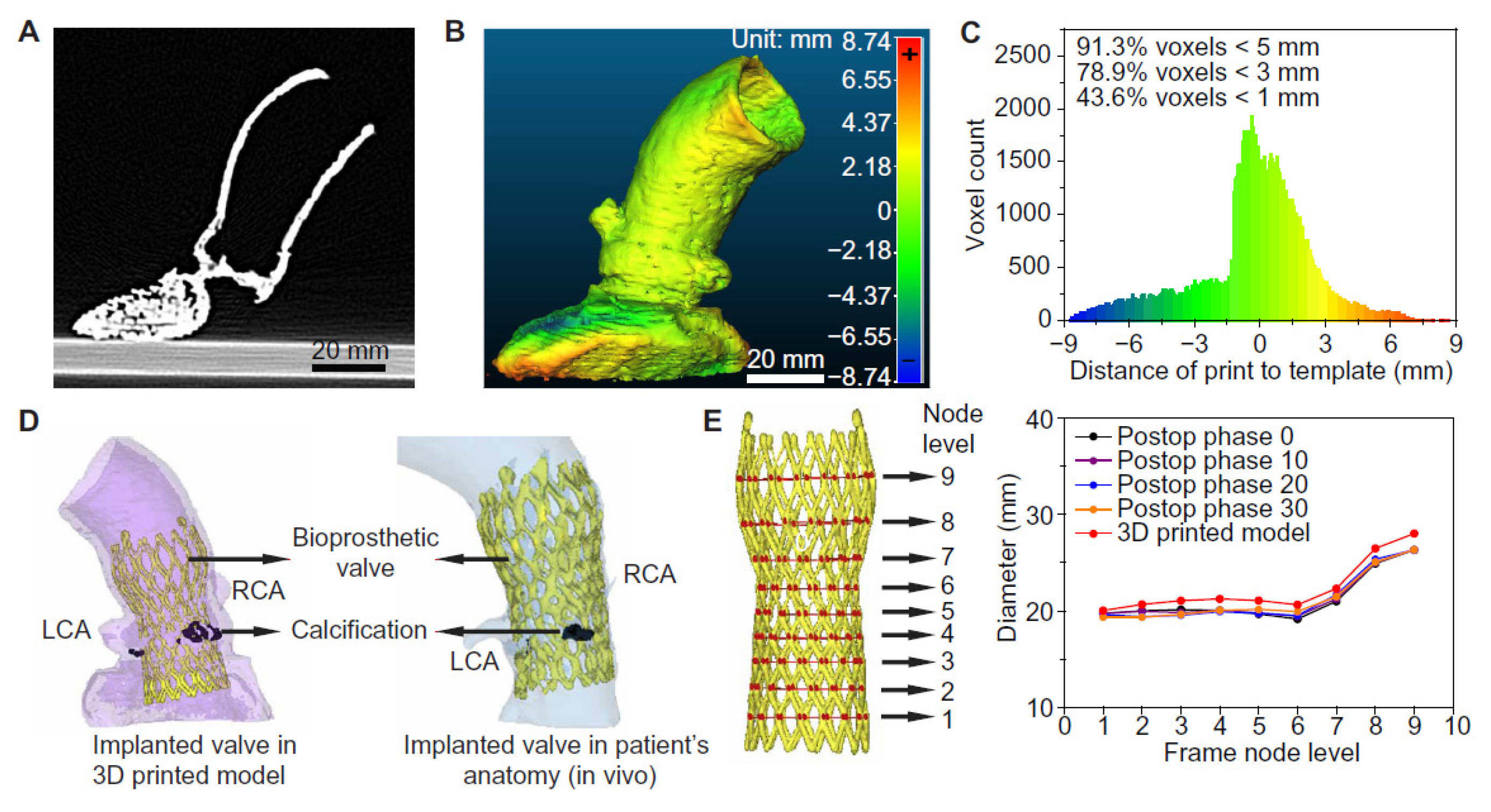 Biomolecules 10 01577 g005 Biomolecules 10 01577 g005