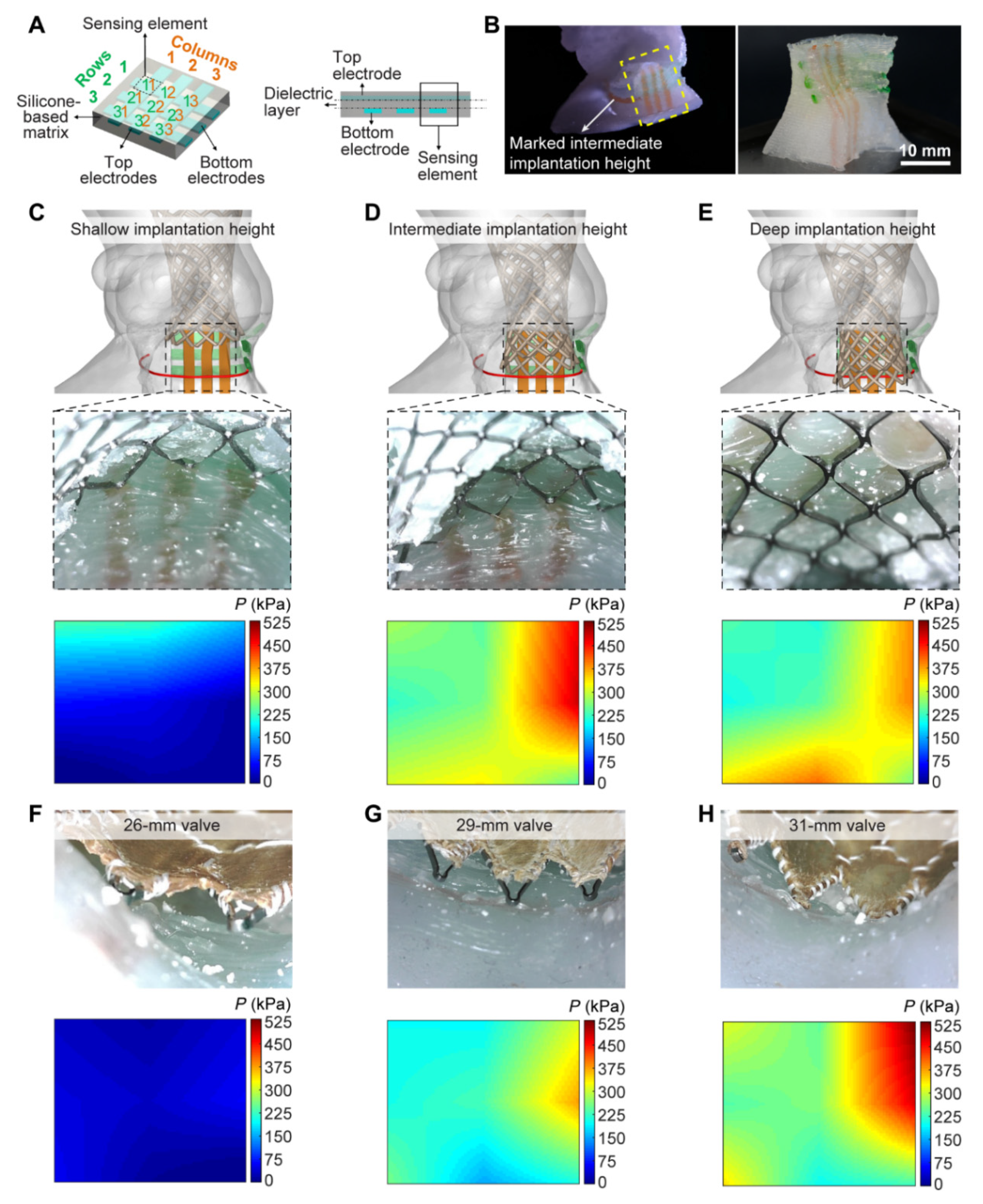 Biomolecules 10 01577 g006 Biomolecules 10 01577 g006