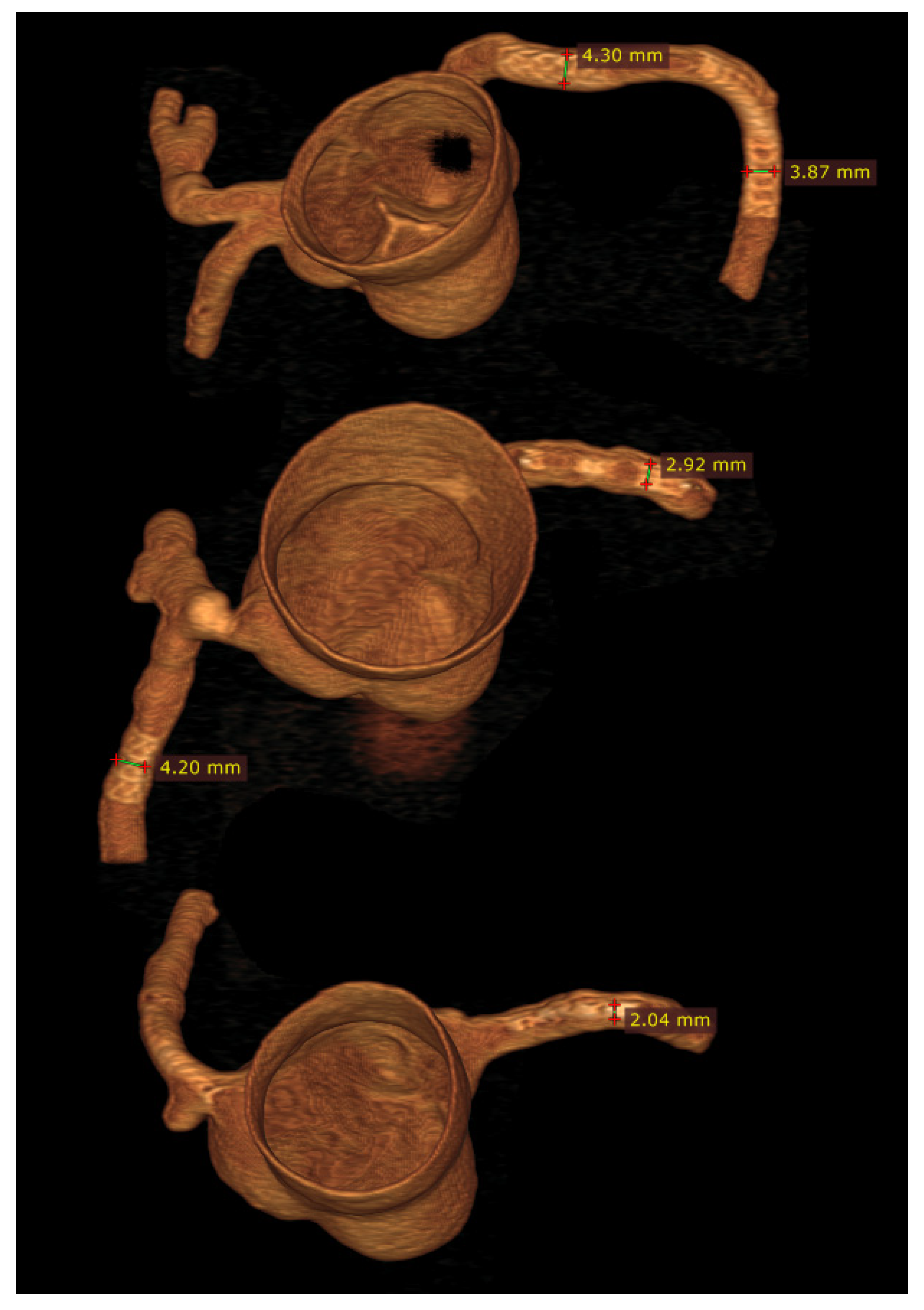 Biomolecules 10 01577 g009 Biomolecules 10 01577 g009