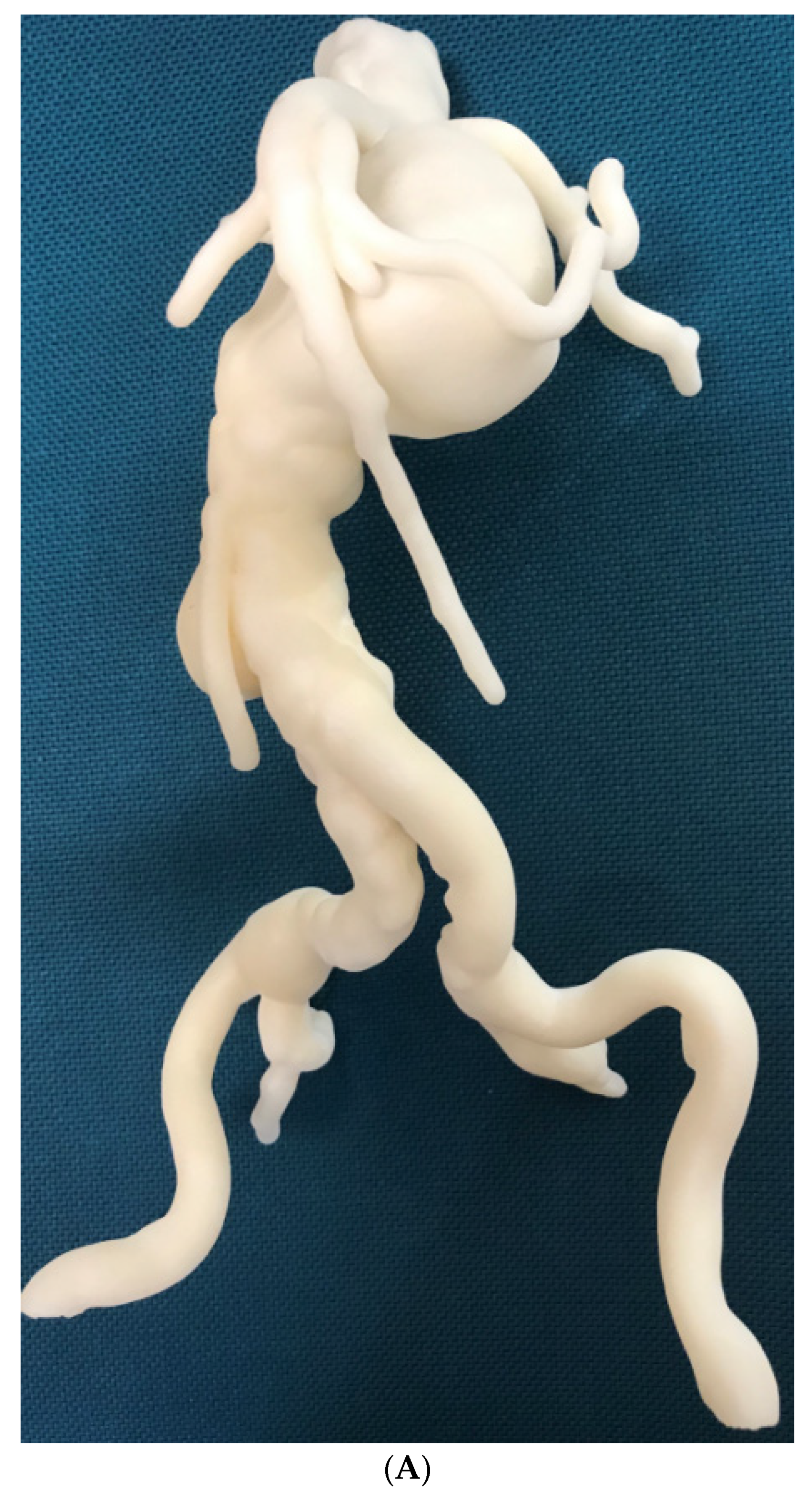 Biomolecules 10 01577 g012a Biomolecules 10 01577 g012a