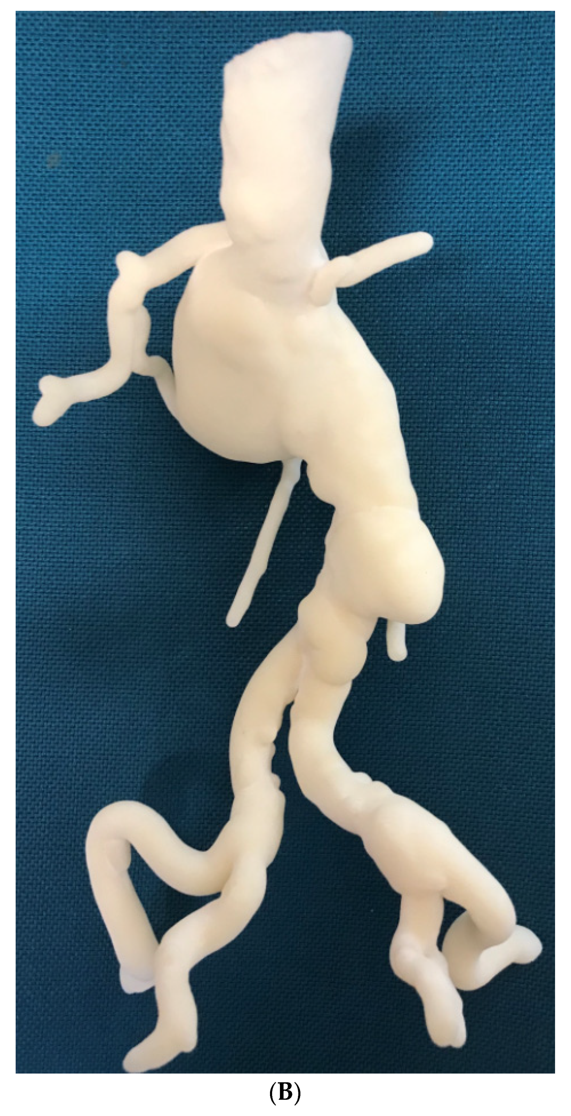 Biomolecules 10 01577 g012b Biomolecules 10 01577 g012b