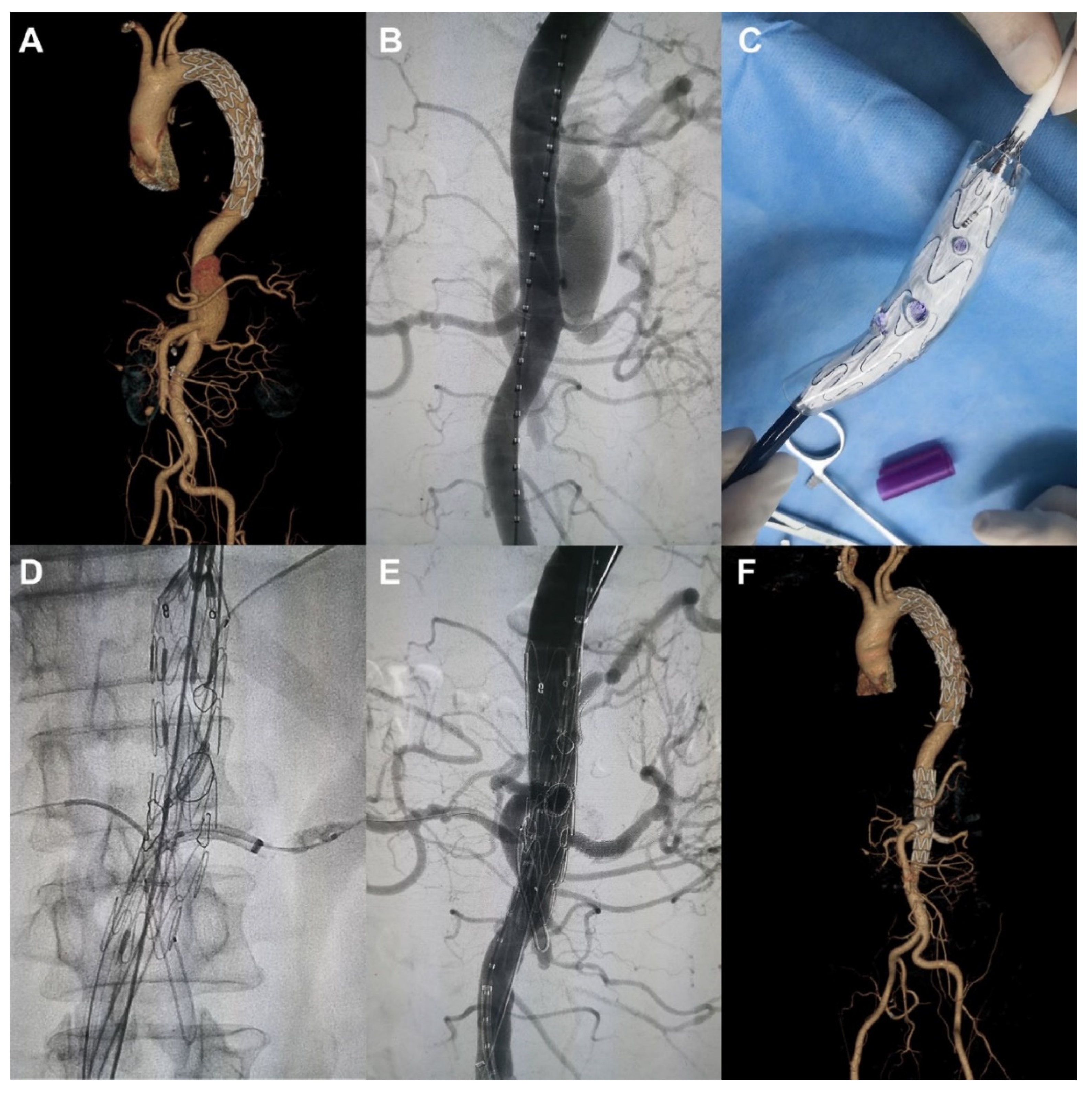 Biomolecules 10 01577 g015 Biomolecules 10 01577 g015