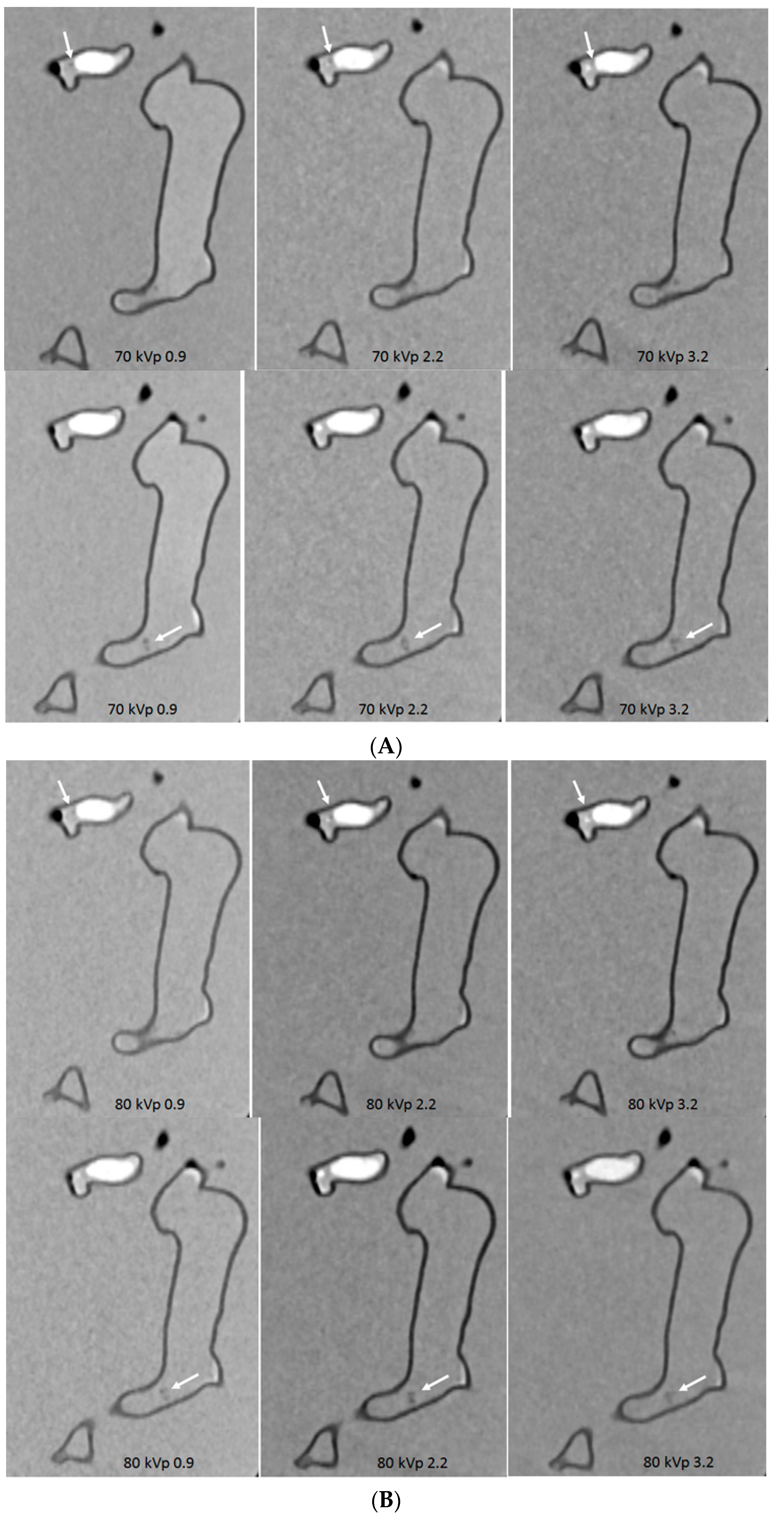 Biomolecules 10 01577 g017a Biomolecules 10 01577 g017a