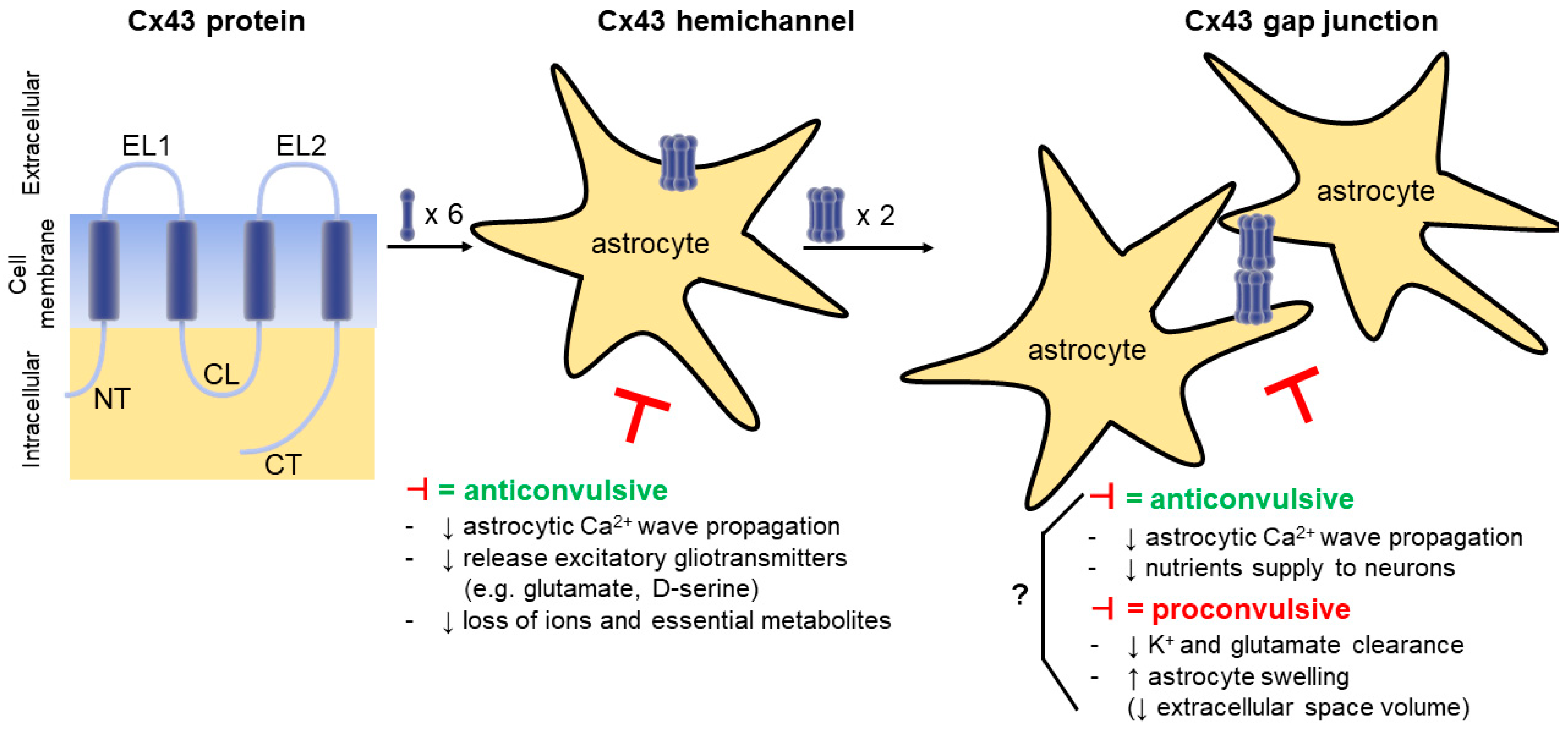 Biomolecules 10 01578 g001 Biomolecules 10 01578 g001