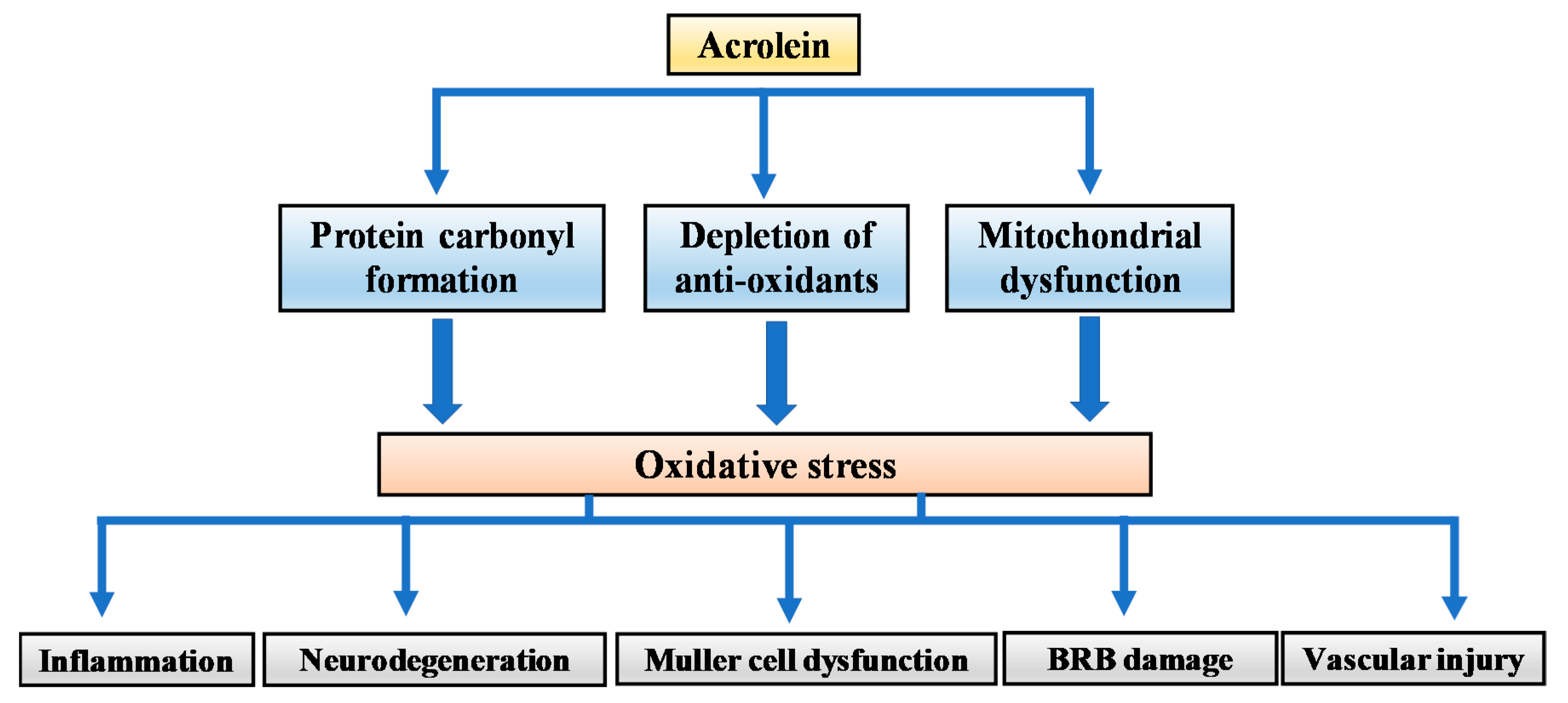 Biomolecules 10 01579 g002 Biomolecules 10 01579 g002