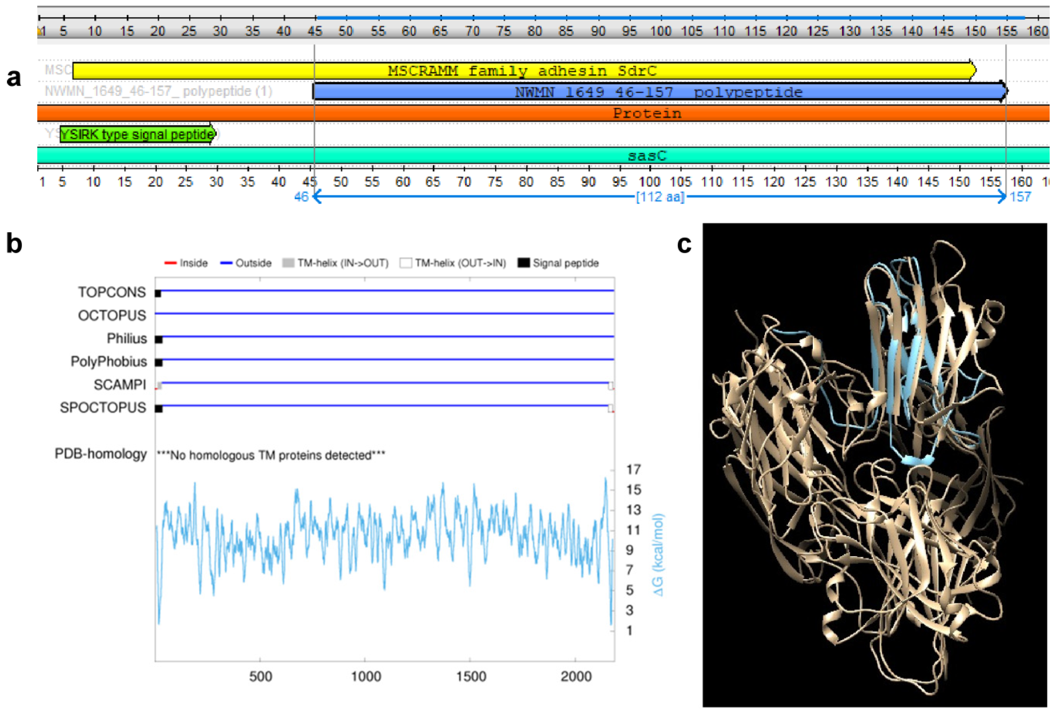 Biomolecules 10 01580 g002 Biomolecules 10 01580 g002