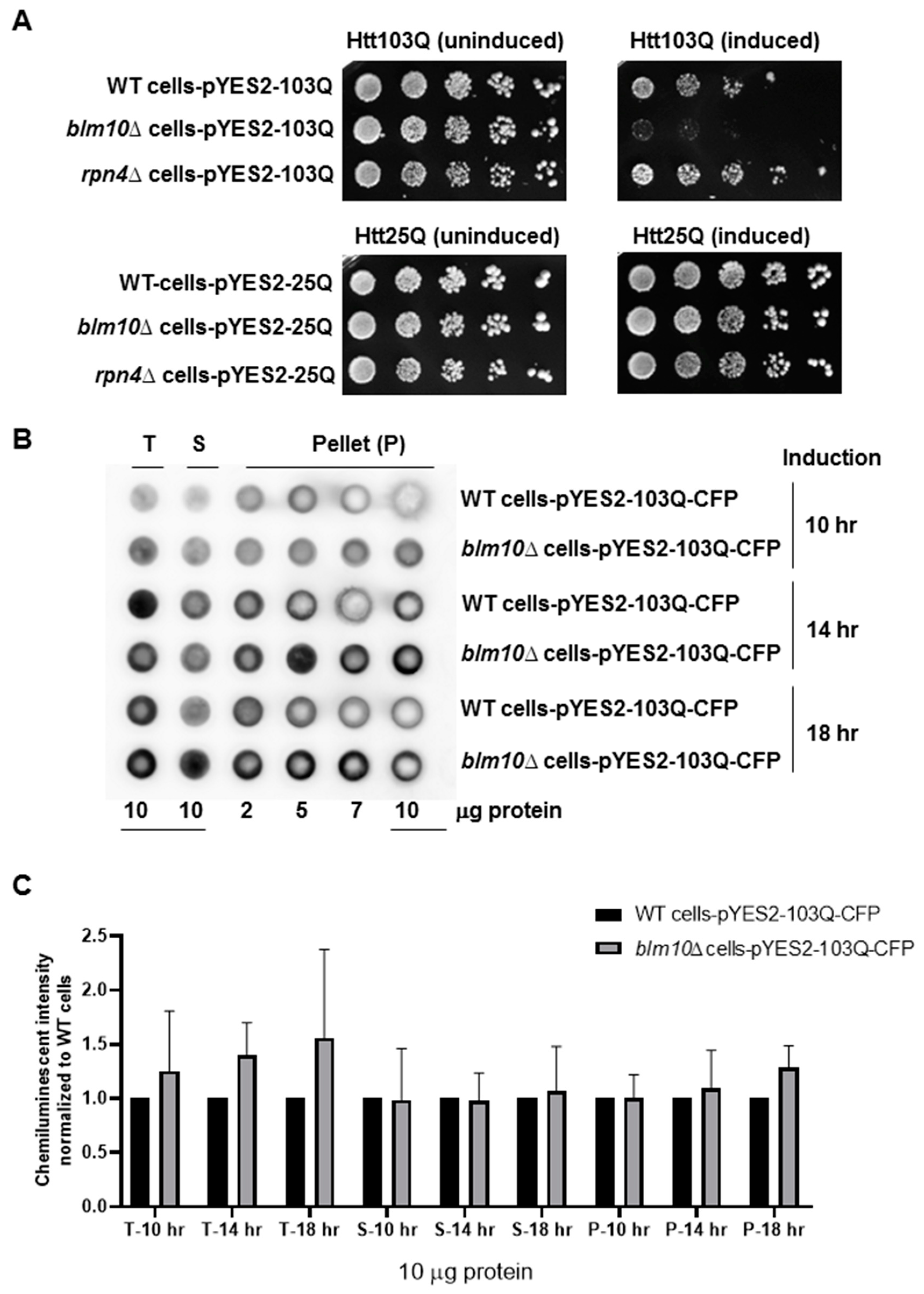 Biomolecules 10 01581 g001