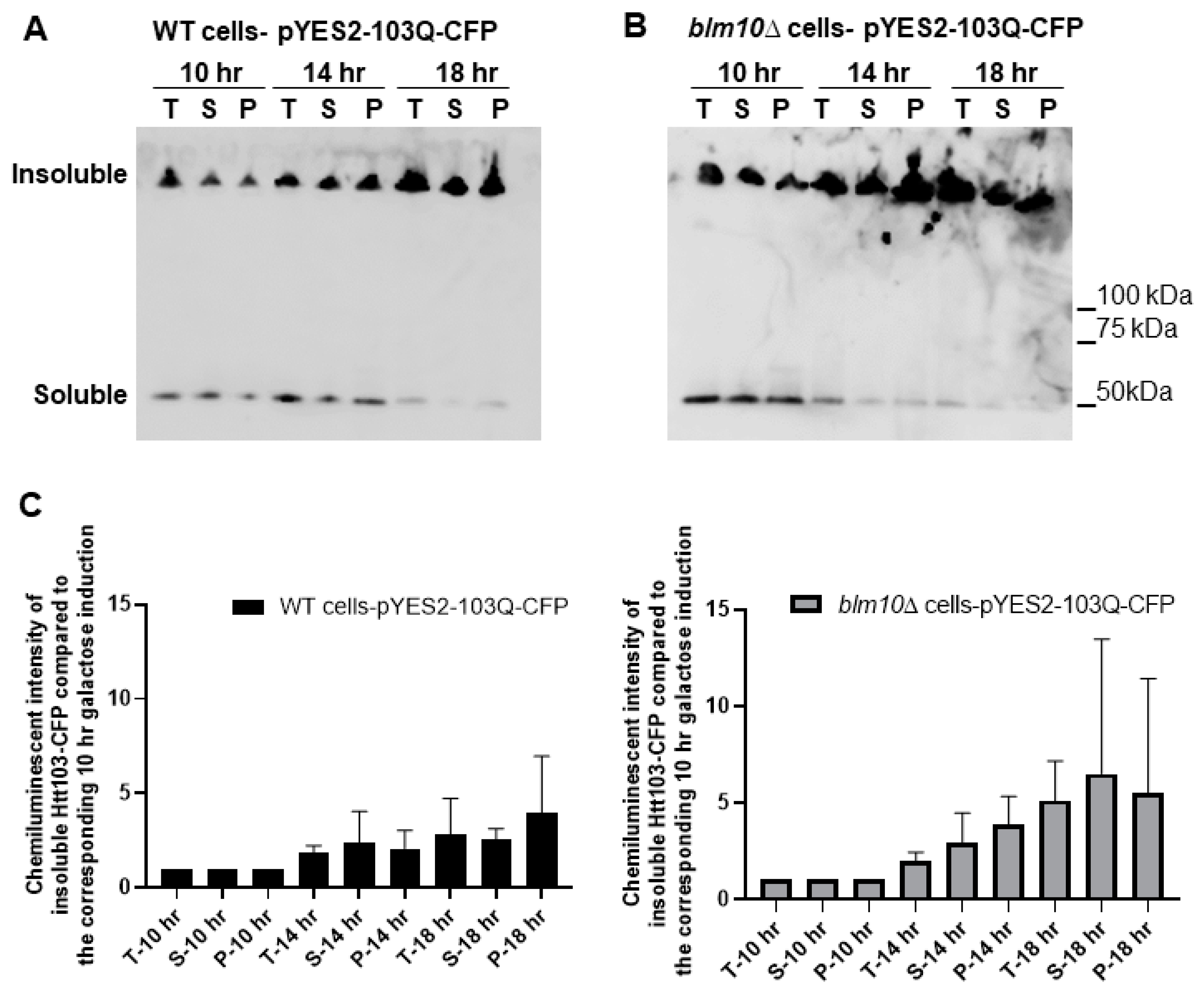 Biomolecules 10 01581 g002a
