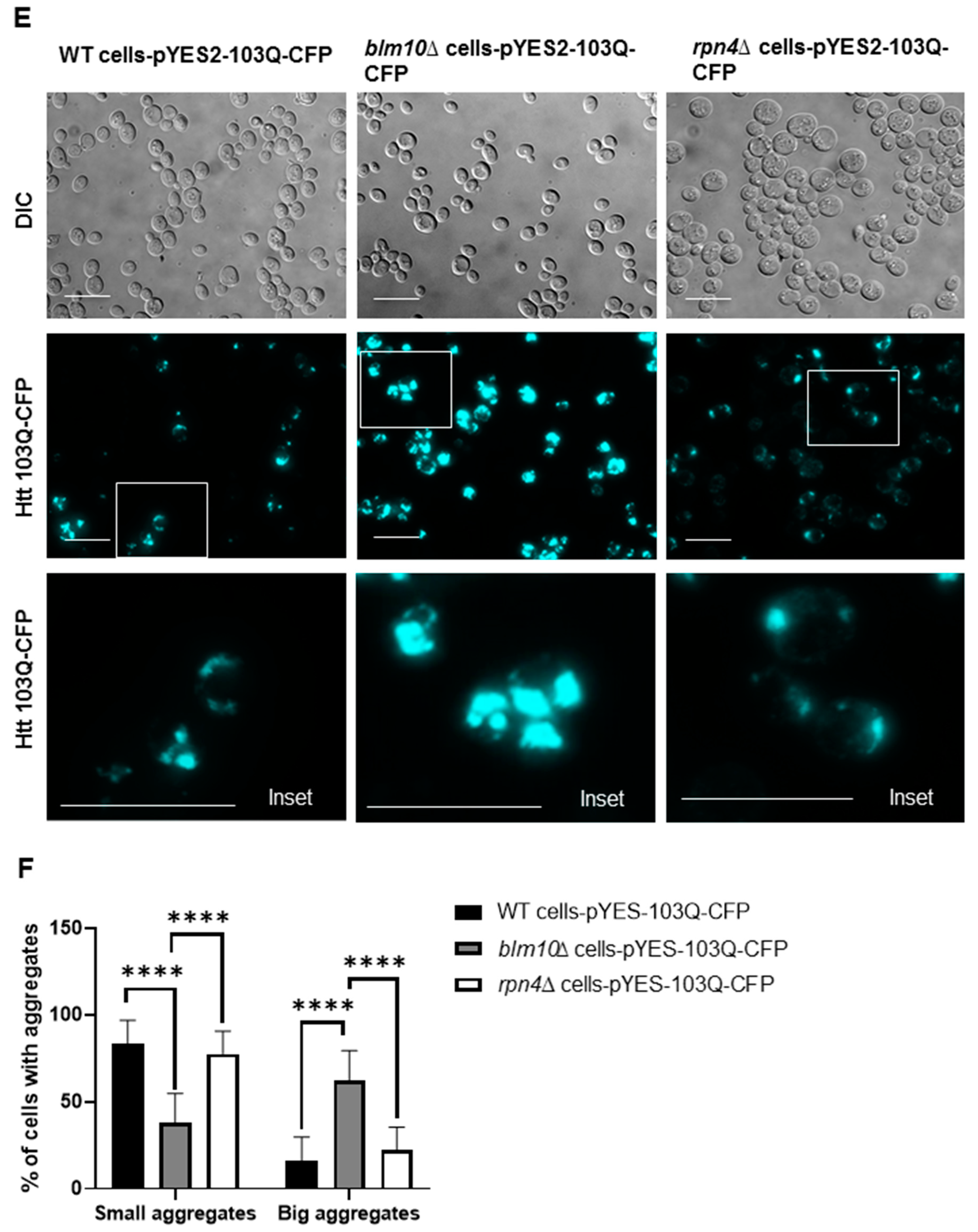 Biomolecules 10 01581 g002c