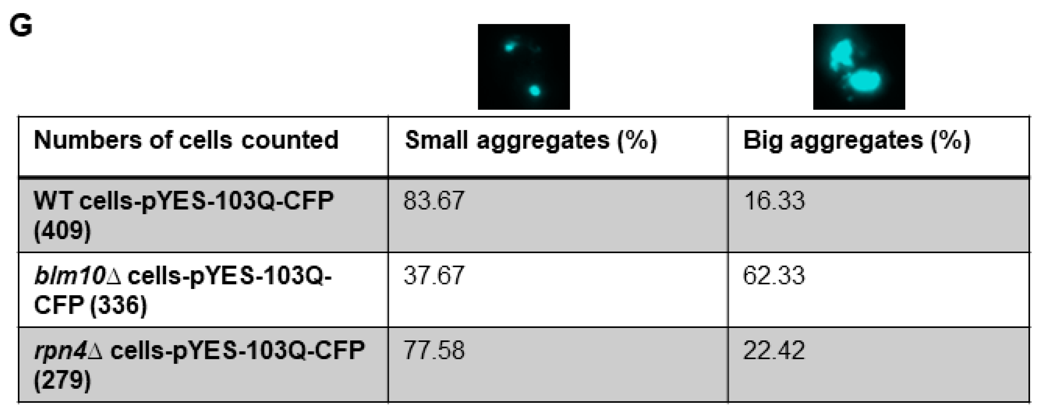 Biomolecules 10 01581 g002d