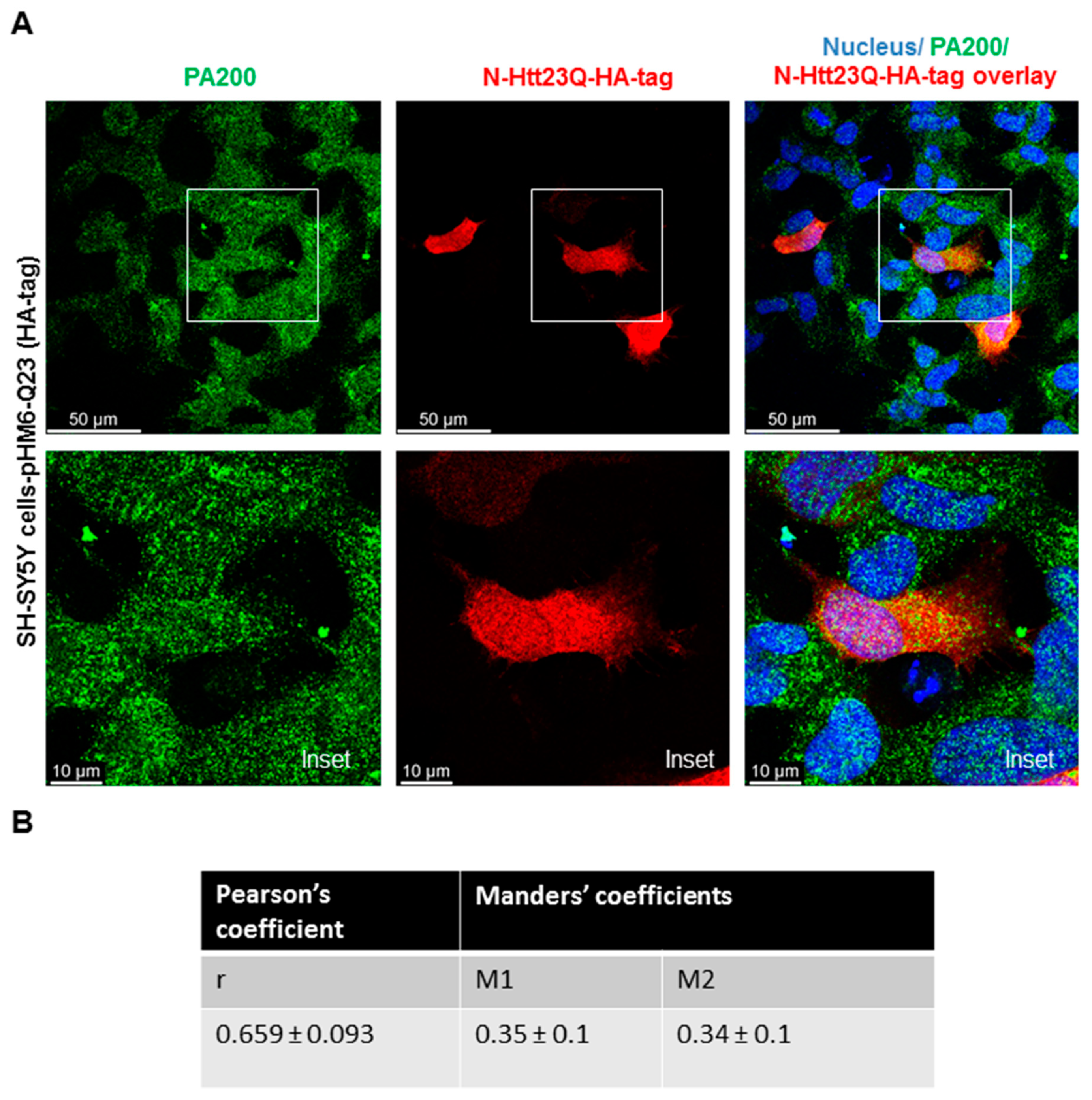 Biomolecules 10 01581 g003a