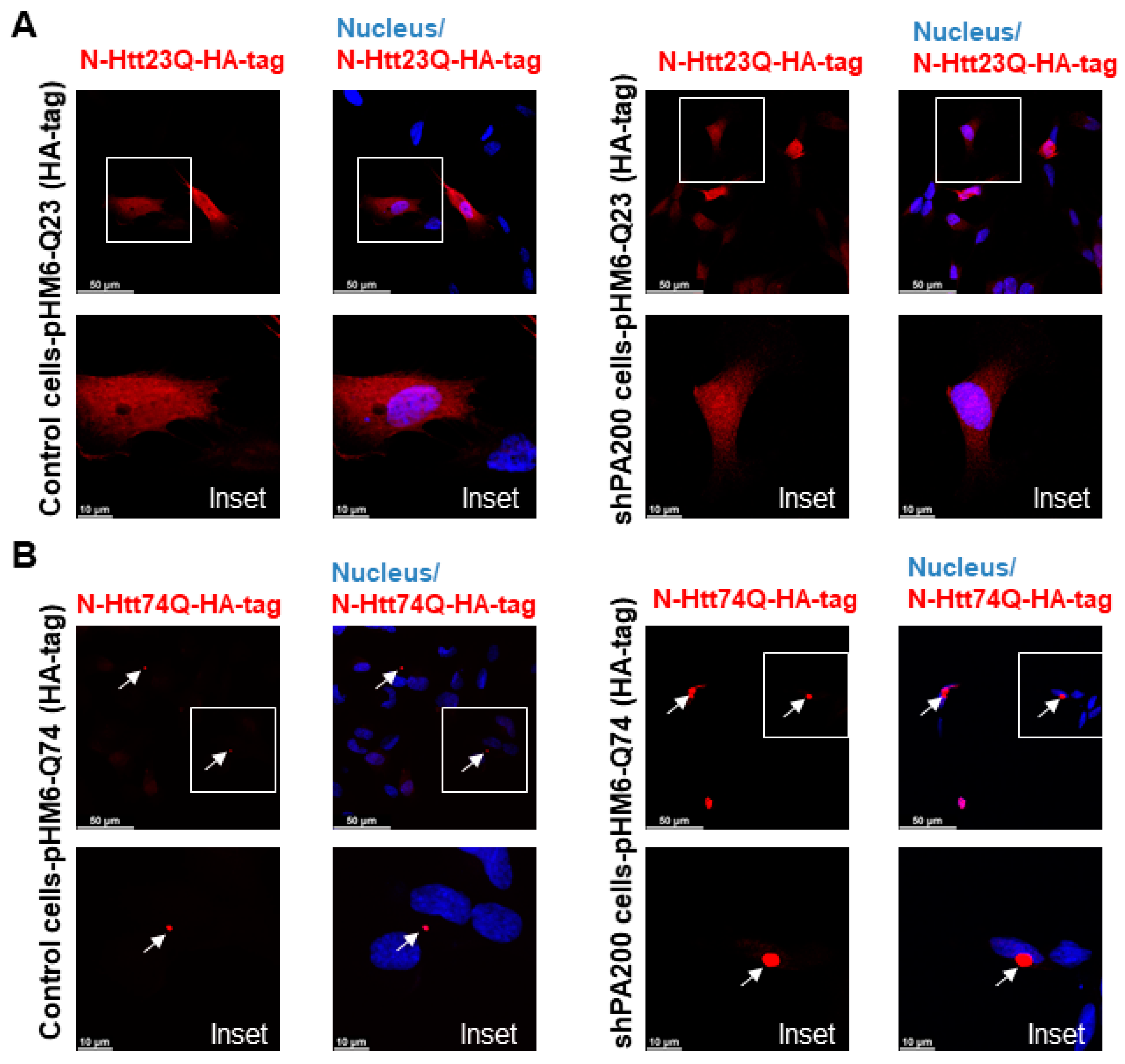 Biomolecules 10 01581 g005a
