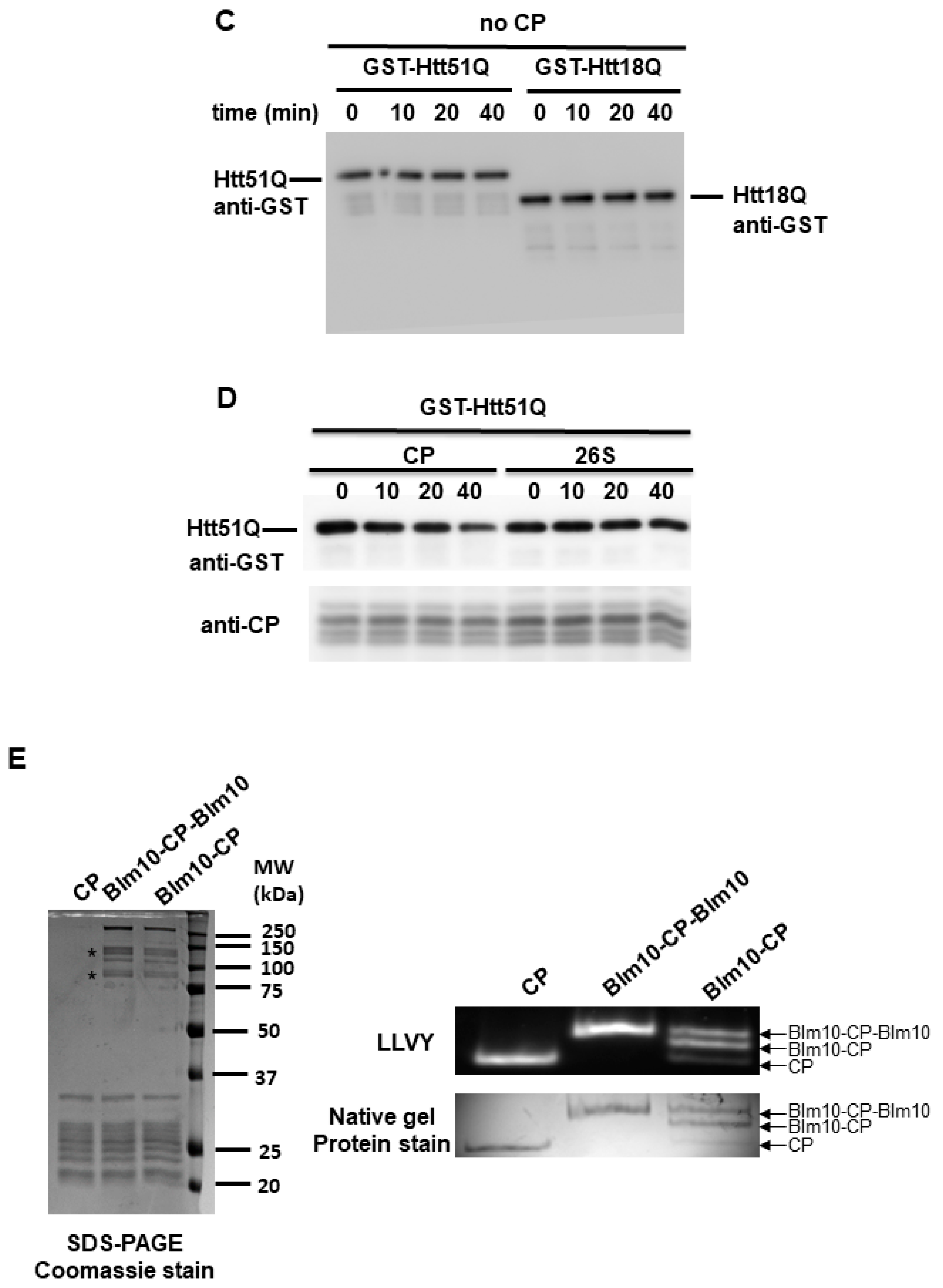 Biomolecules 10 01581 g006b