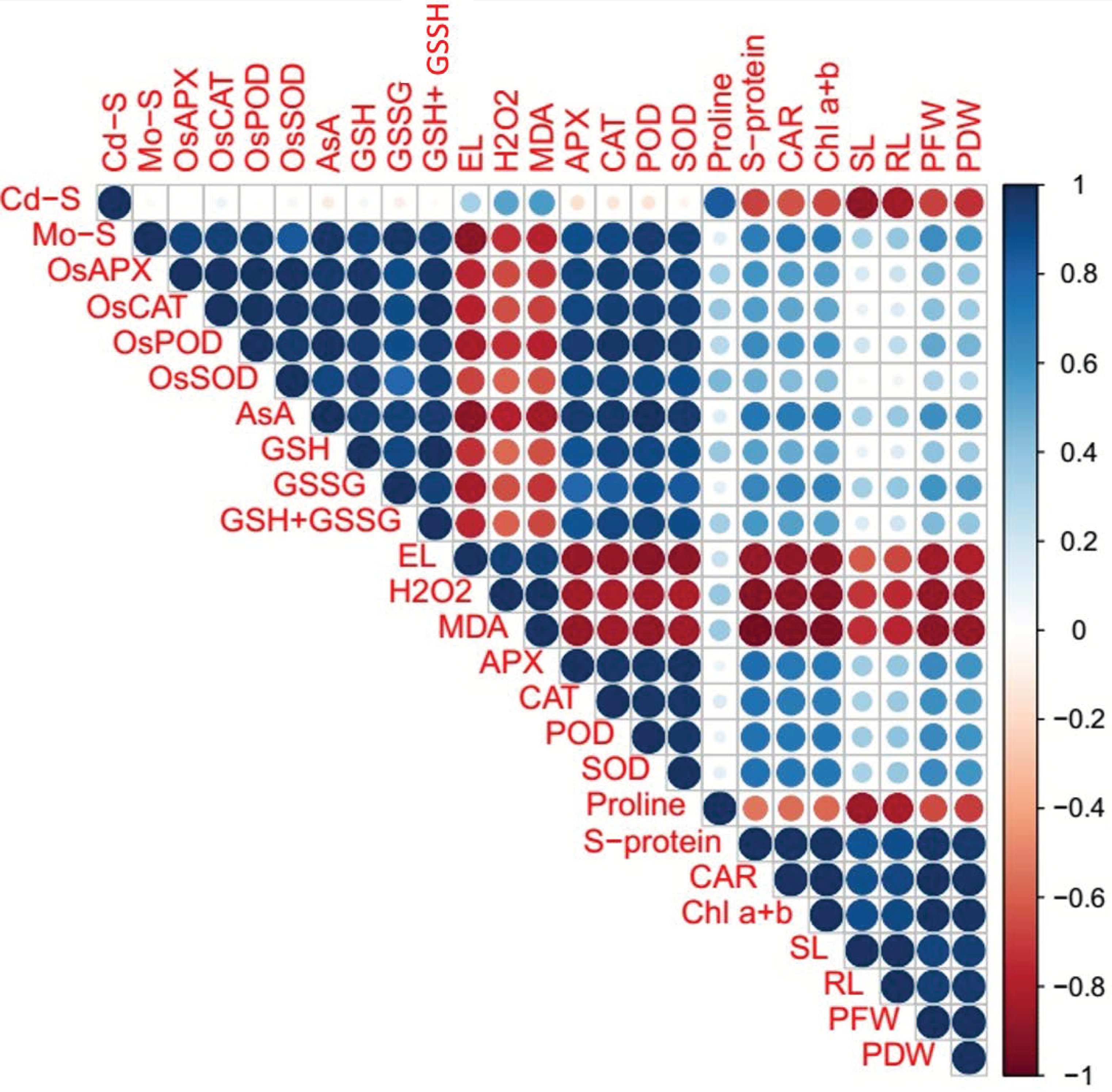 Biomolecules 10 01582 g007 Biomolecules 10 01582 g007