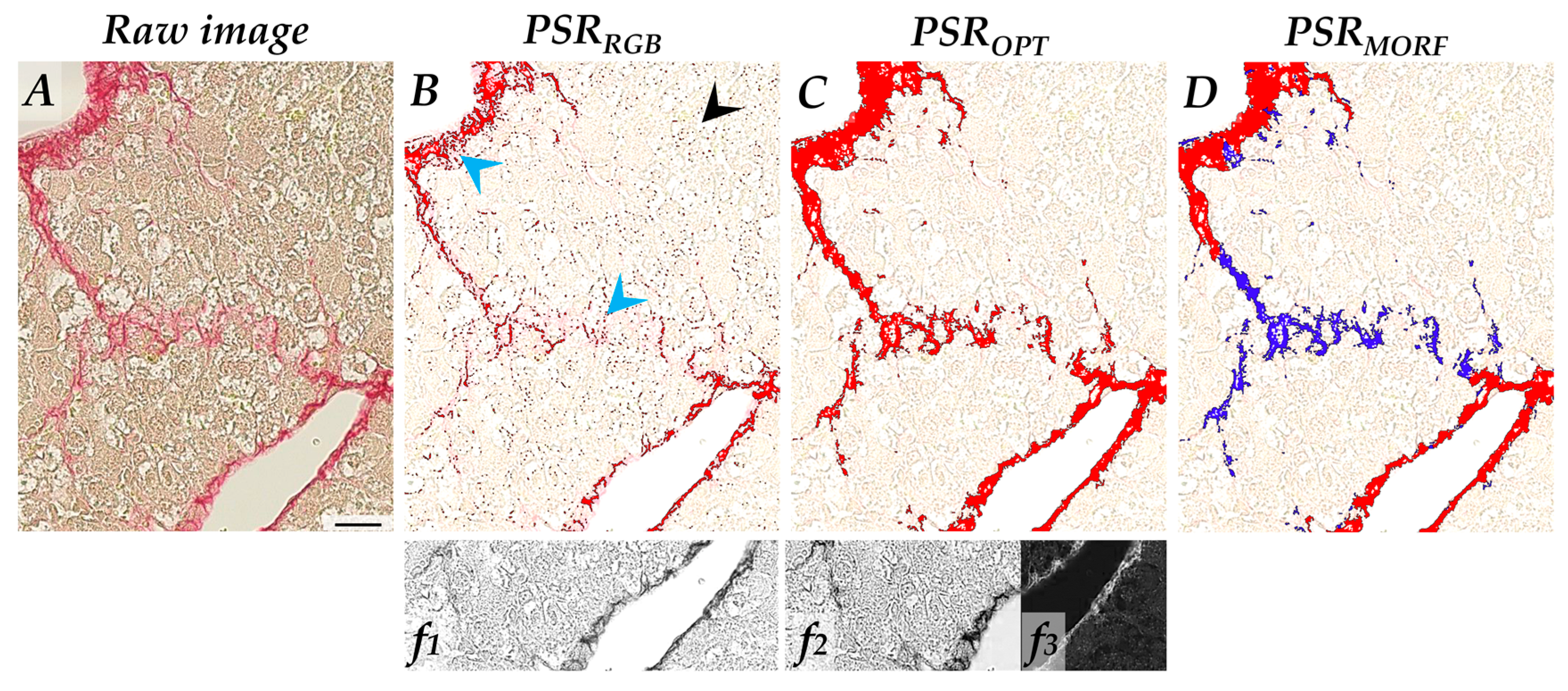 Biomolecules 10 01585 g004 Biomolecules 10 01585 g004
