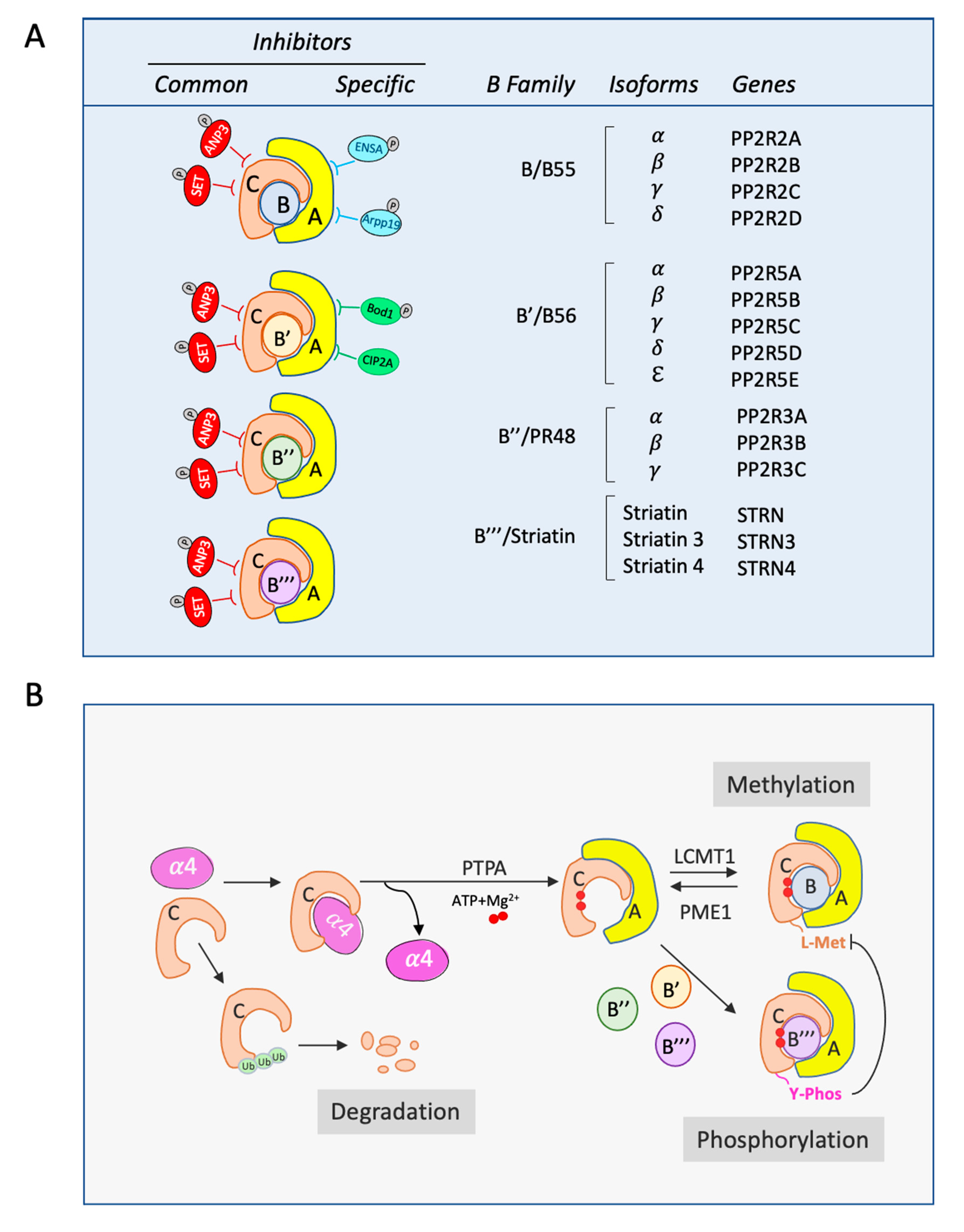 Biomolecules 10 01586 g001