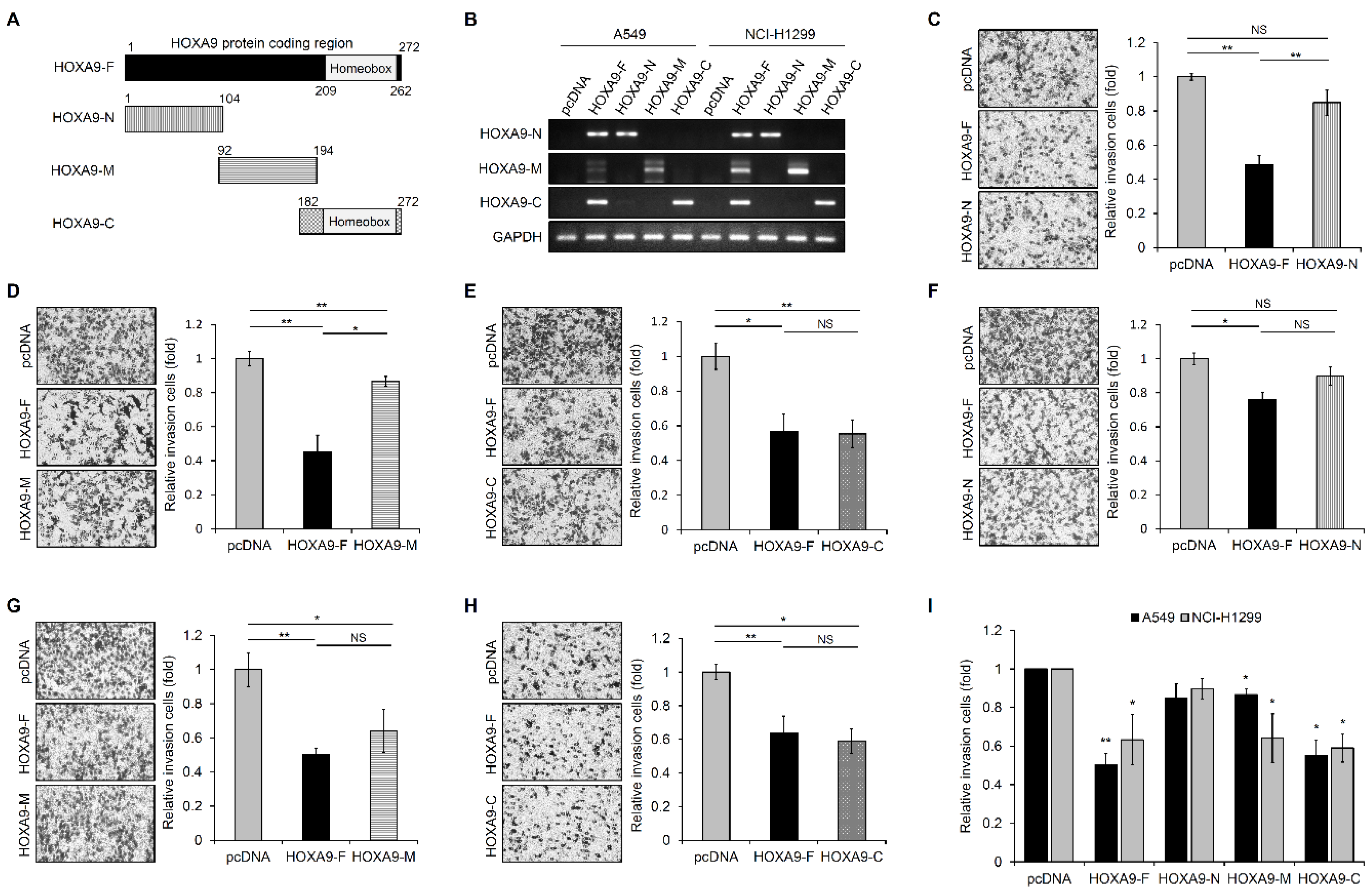 Biomolecules 10 01589 g001 Biomolecules 10 01589 g001