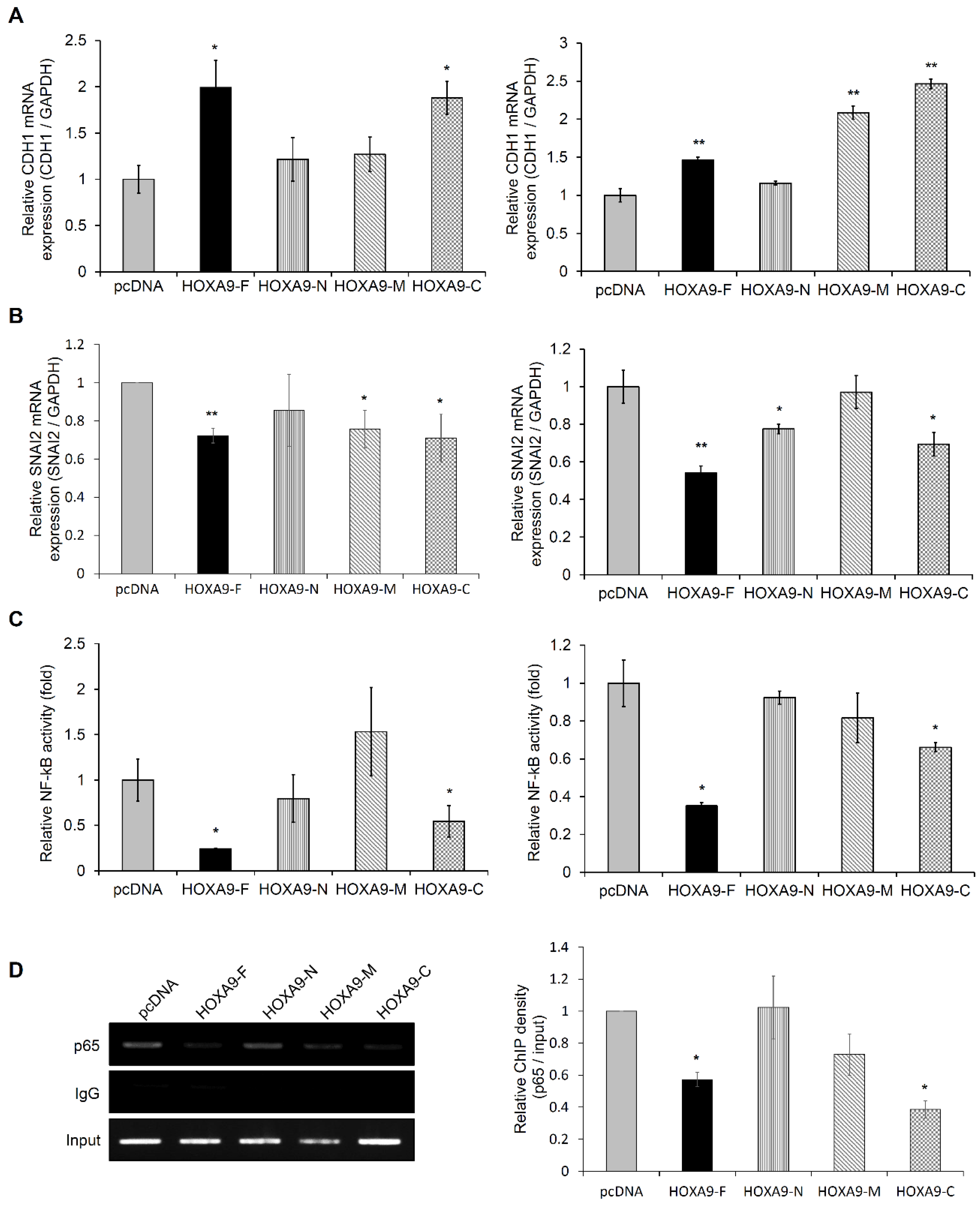 Biomolecules 10 01589 g002 Biomolecules 10 01589 g002