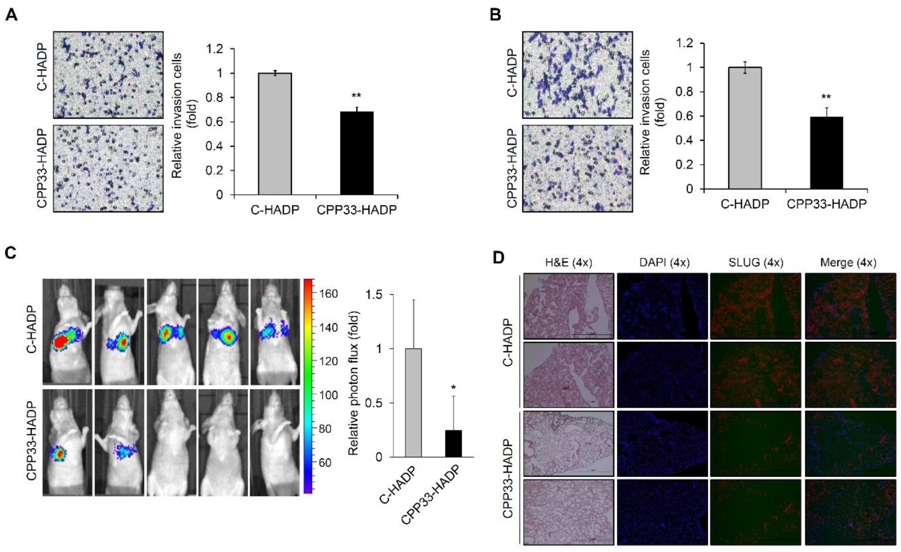 Biomolecules 10 01589 g004 Biomolecules 10 01589 g004