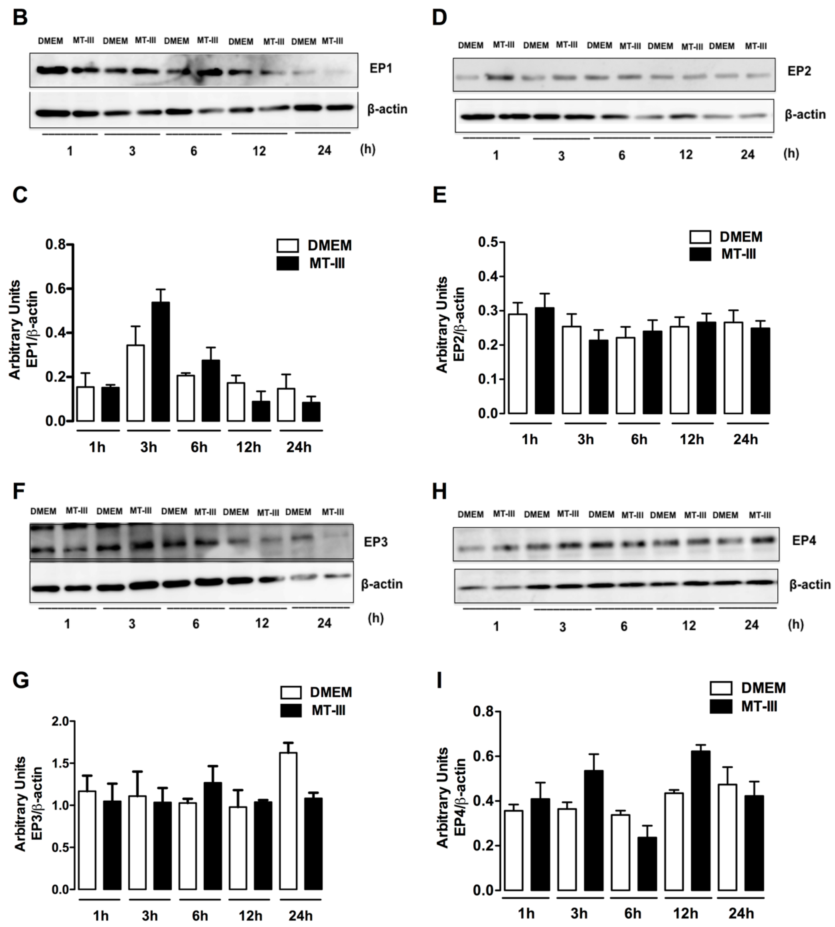 Biomolecules 10 01593 g005b Biomolecules 10 01593 g005b