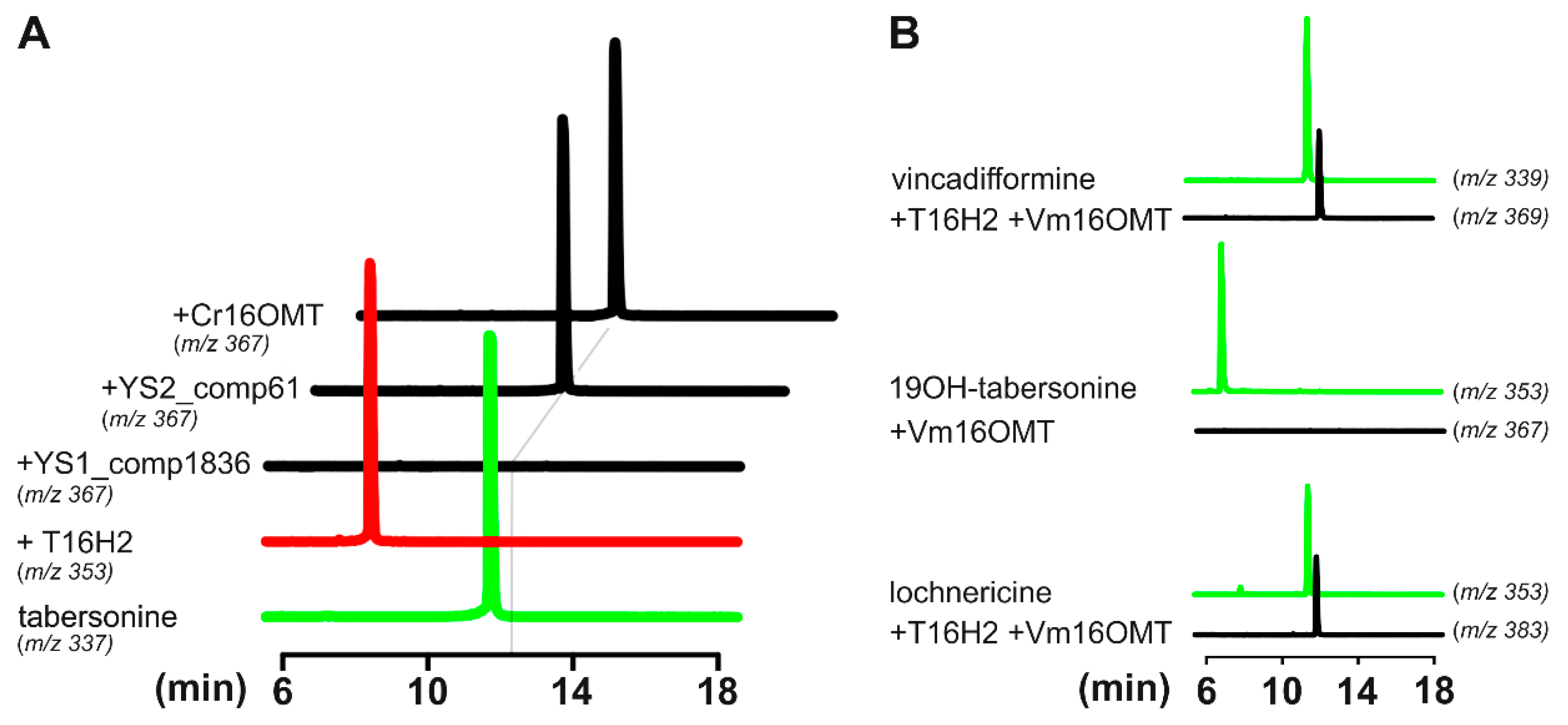 Biomolecules 10 01595 g007