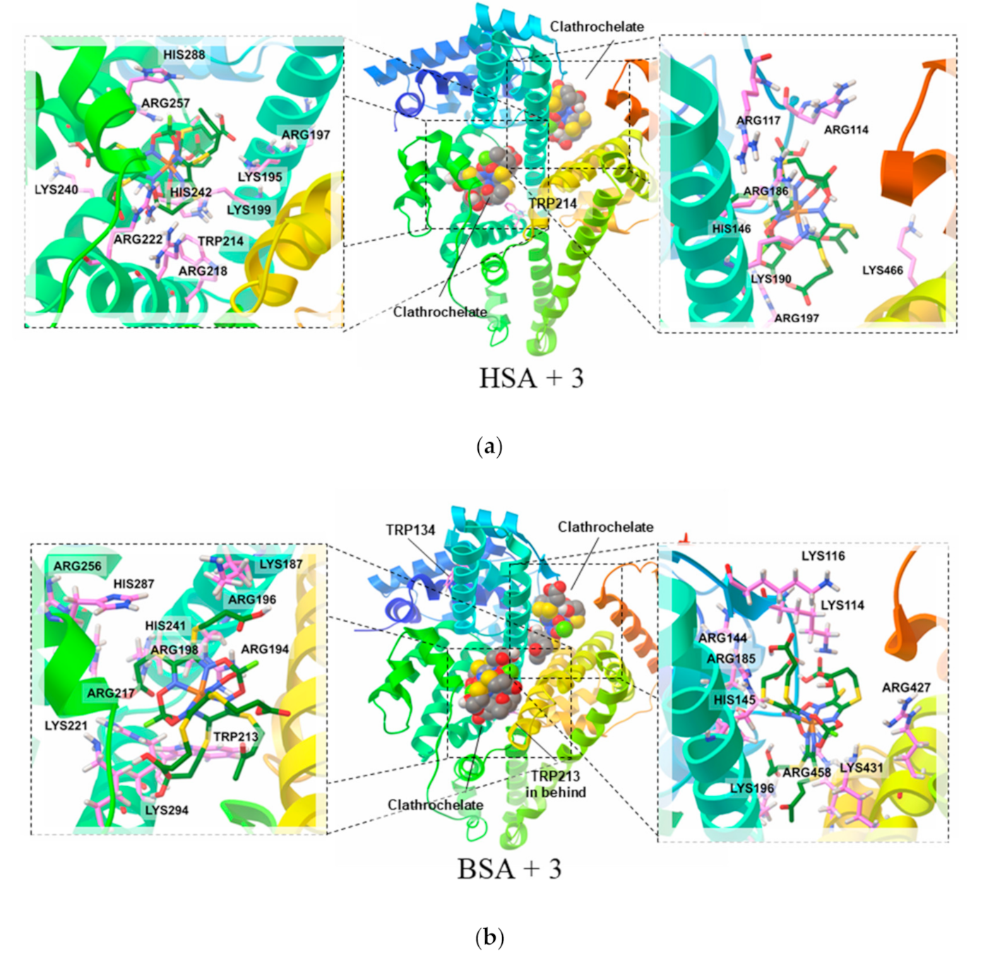 Biomolecules 10 01602 g006 Biomolecules 10 01602 g006