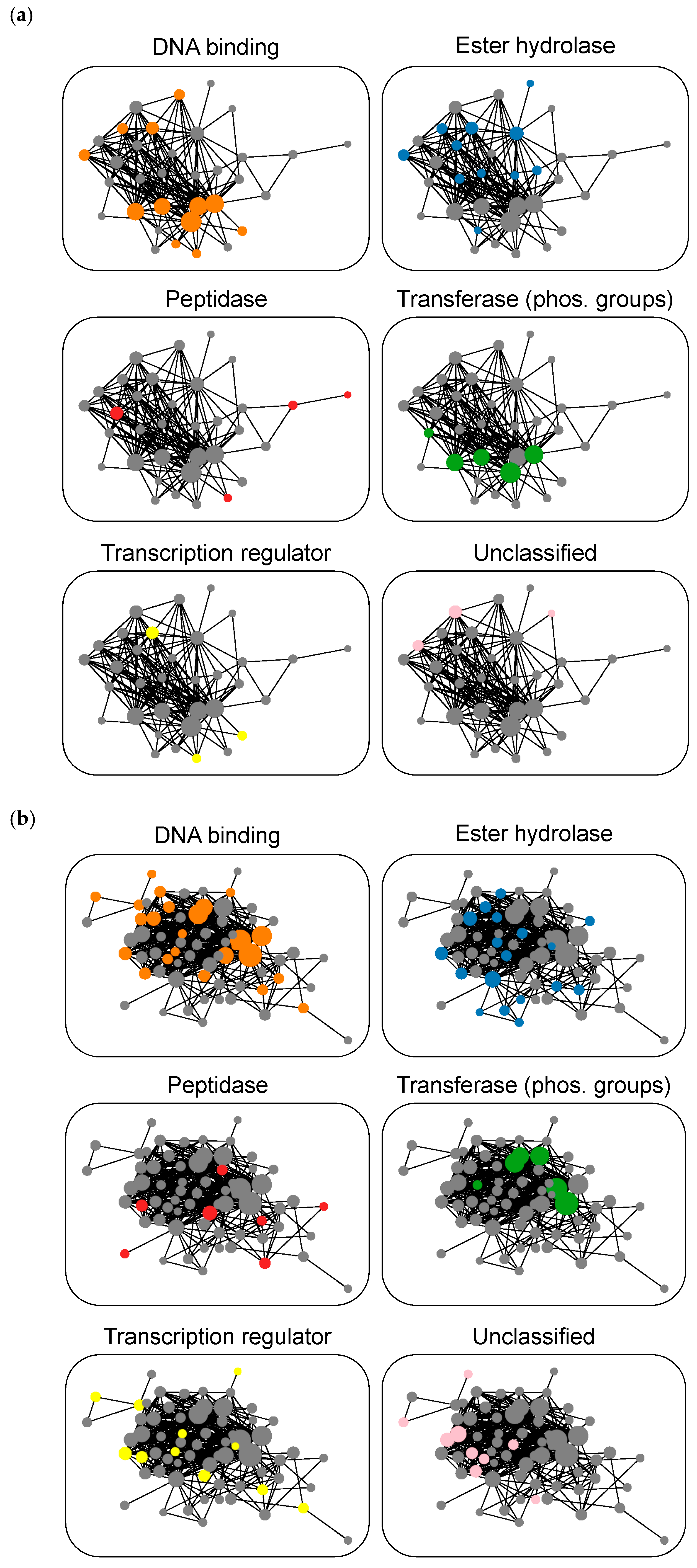 Biomolecules 10 01605 g004