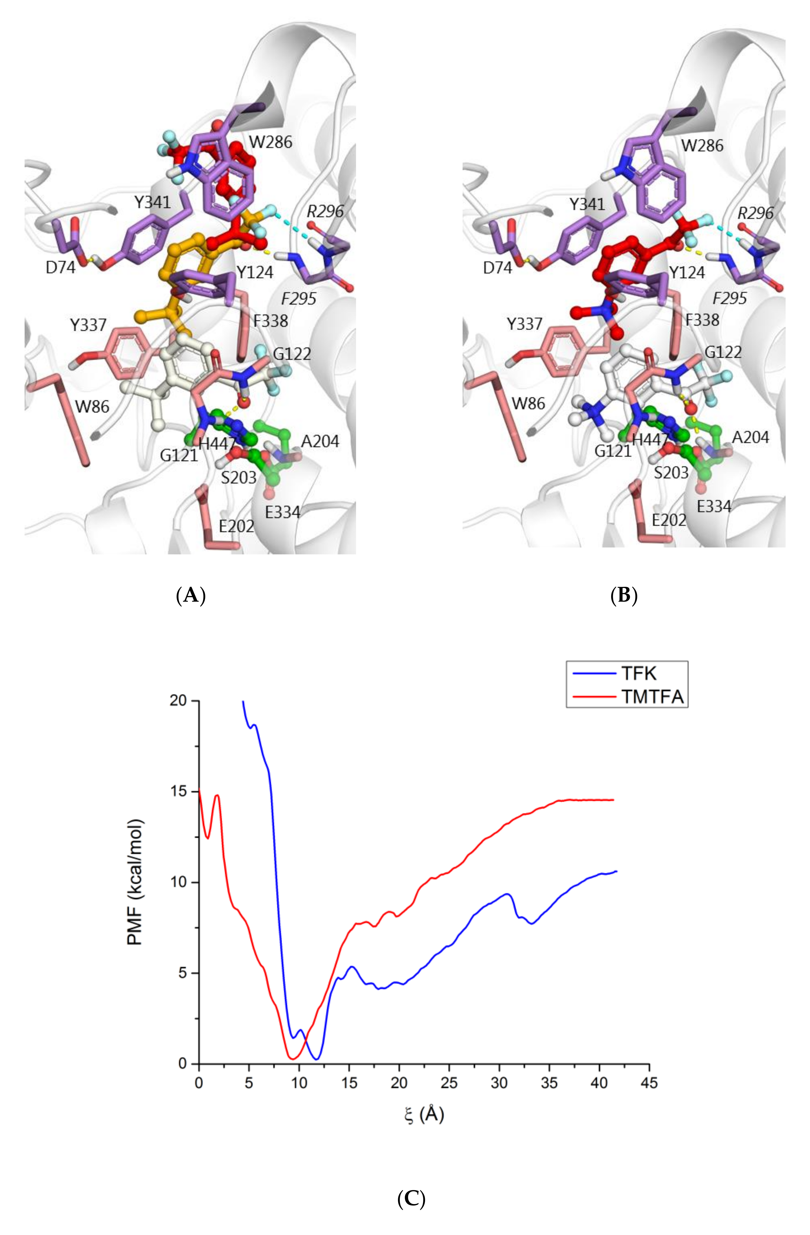 Biomolecules 10 01608 g007 Biomolecules 10 01608 g007
