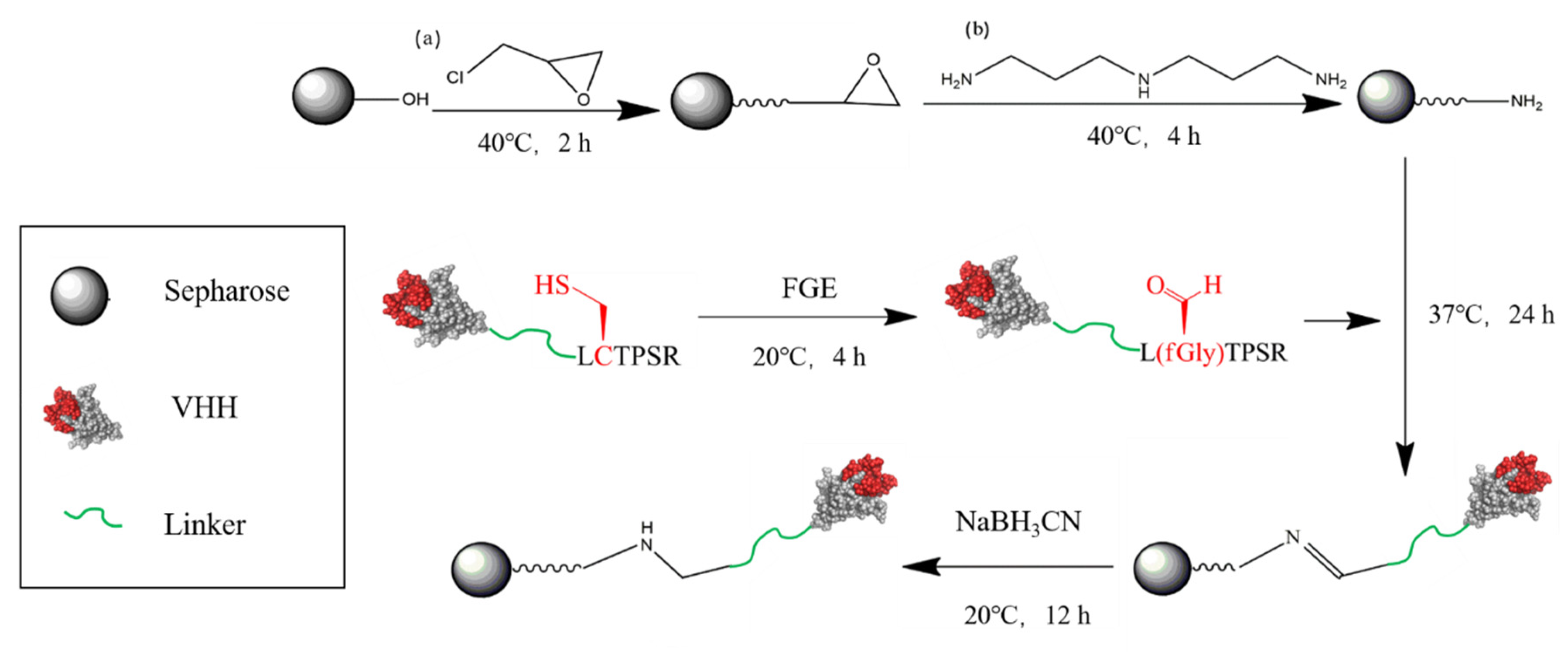 Biomolecules 10 01610 sch001
