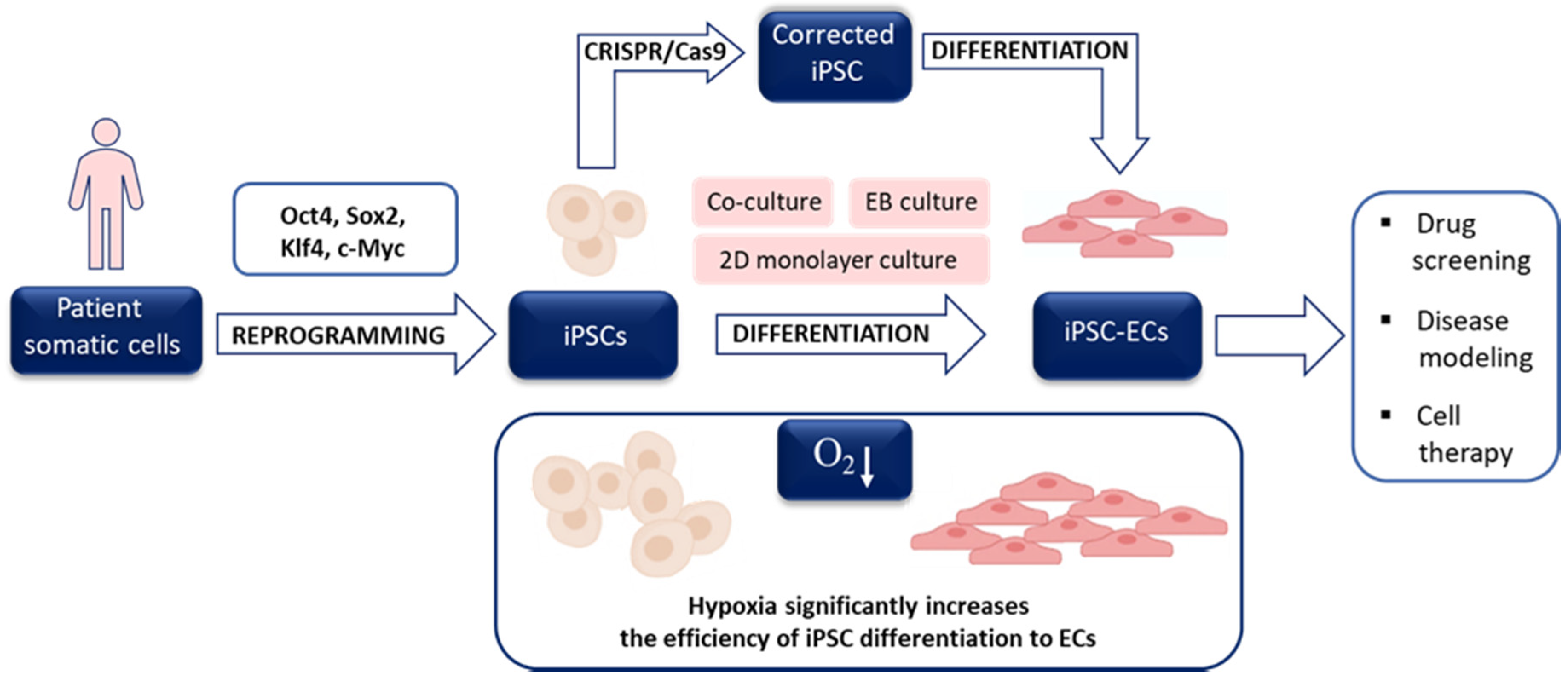 Biomolecules 10 01614 g003 Biomolecules 10 01614 g003