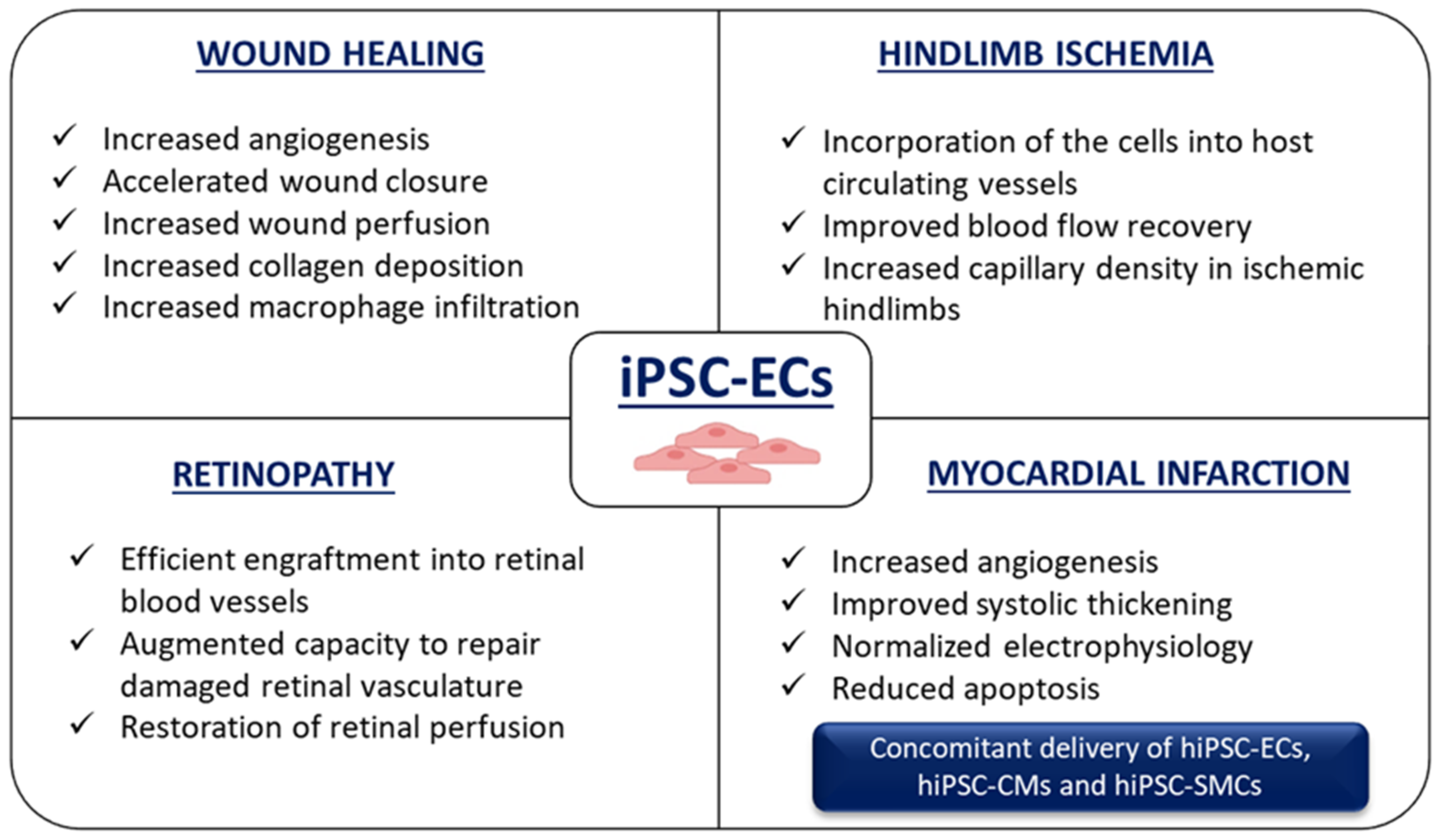 Biomolecules 10 01614 g006 Biomolecules 10 01614 g006