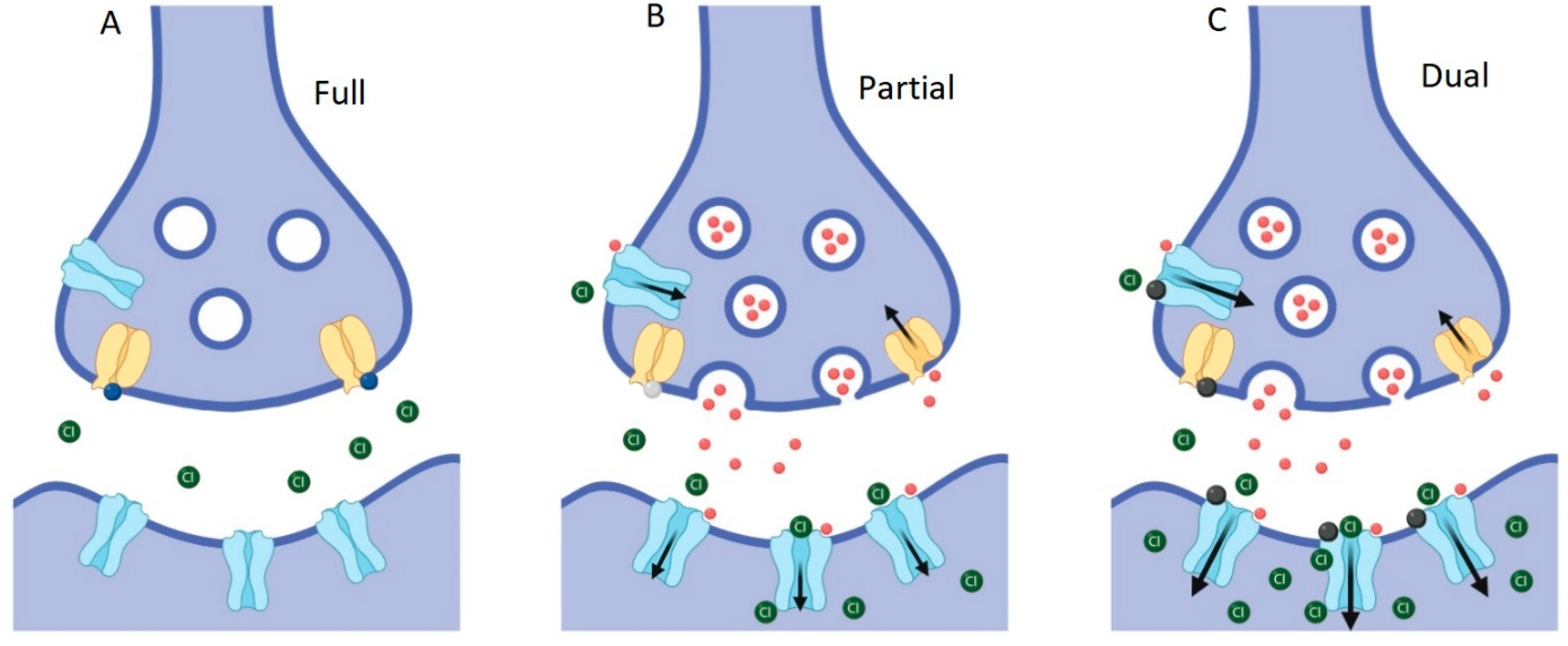 Biomolecules 10 01618 g013 Biomolecules 10 01618 g013