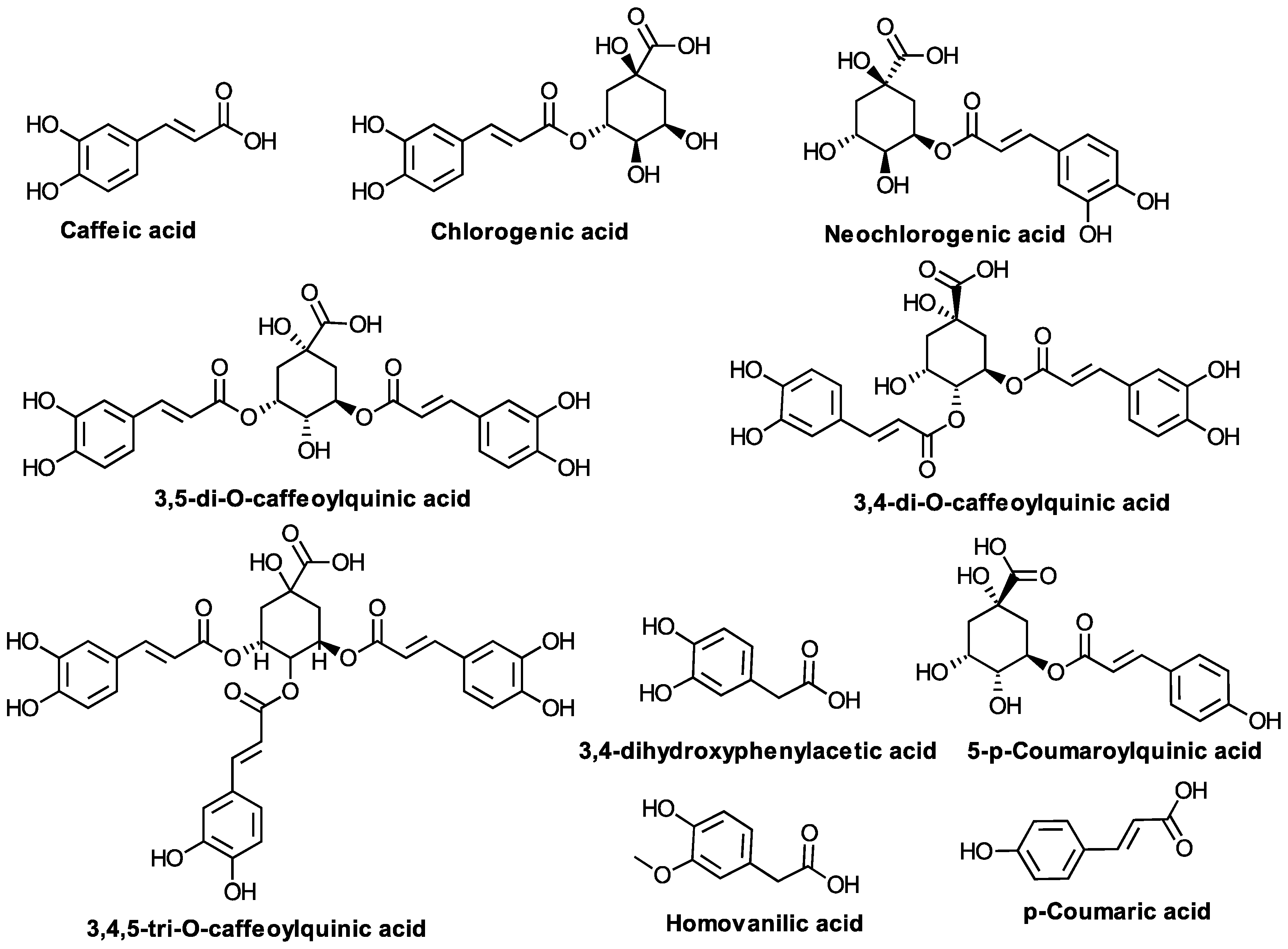 Biomolecules 10 01619 g005 Biomolecules 10 01619 g005