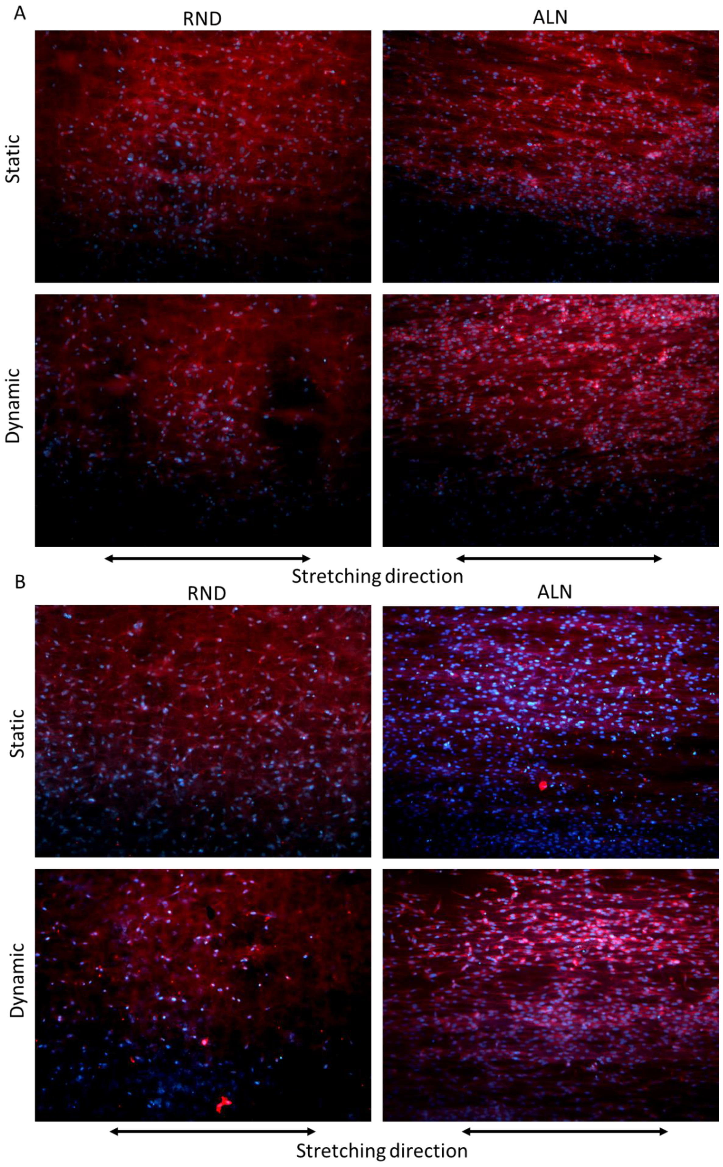 Biomolecules 10 01620 g007