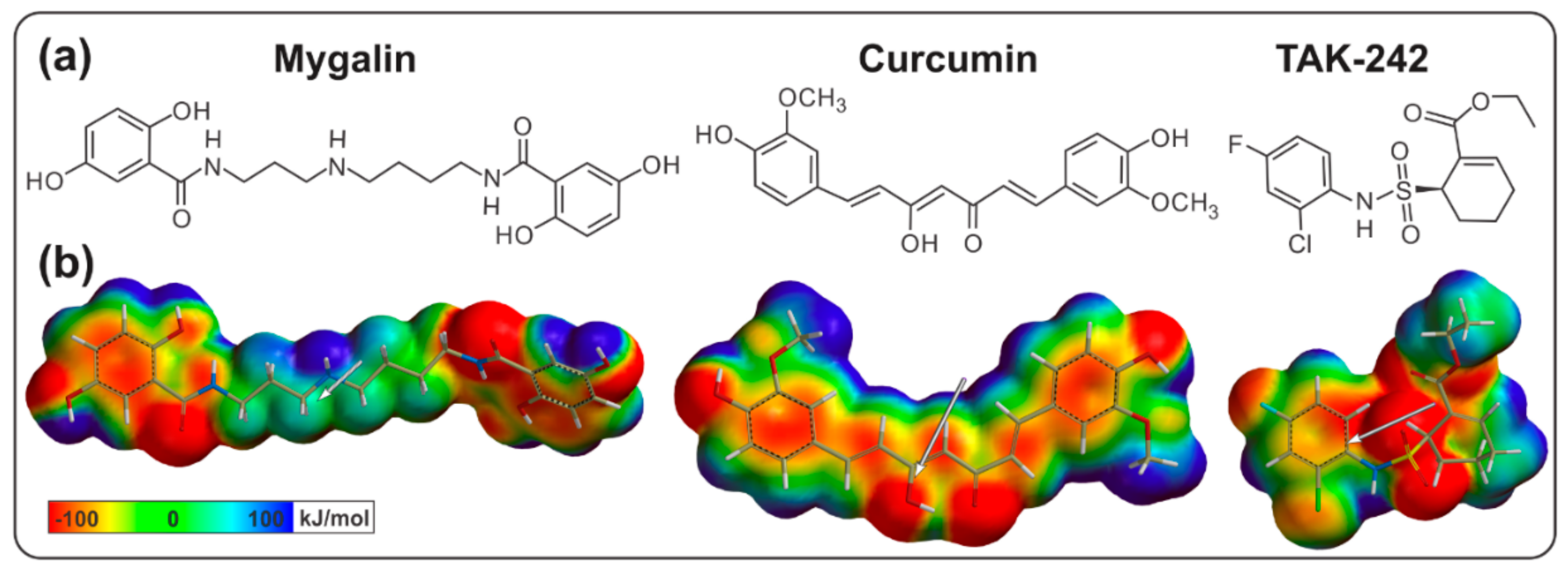 Biomolecules 10 01624 g001