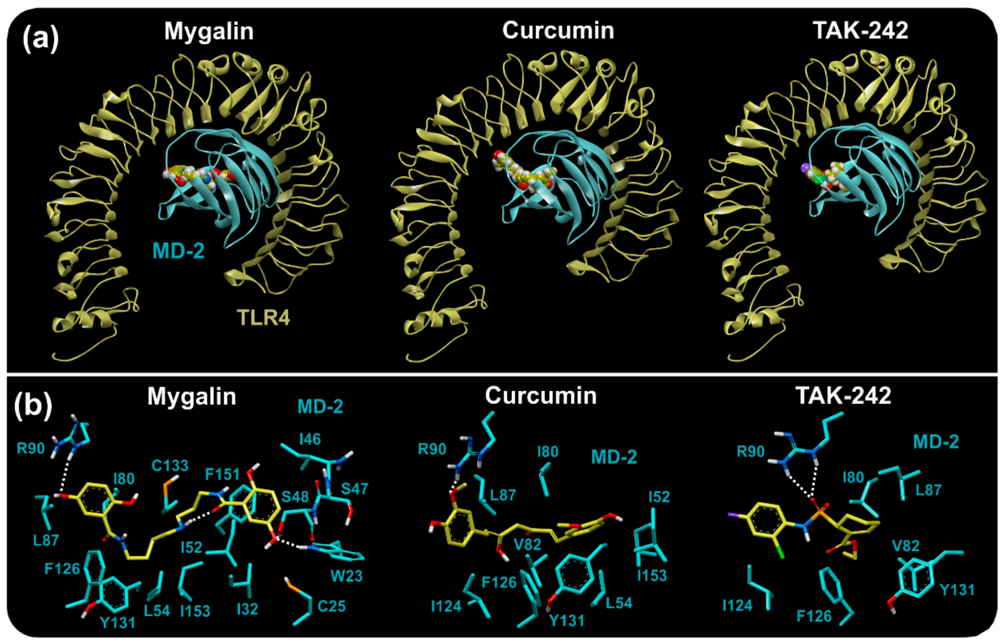 Biomolecules 10 01624 g002