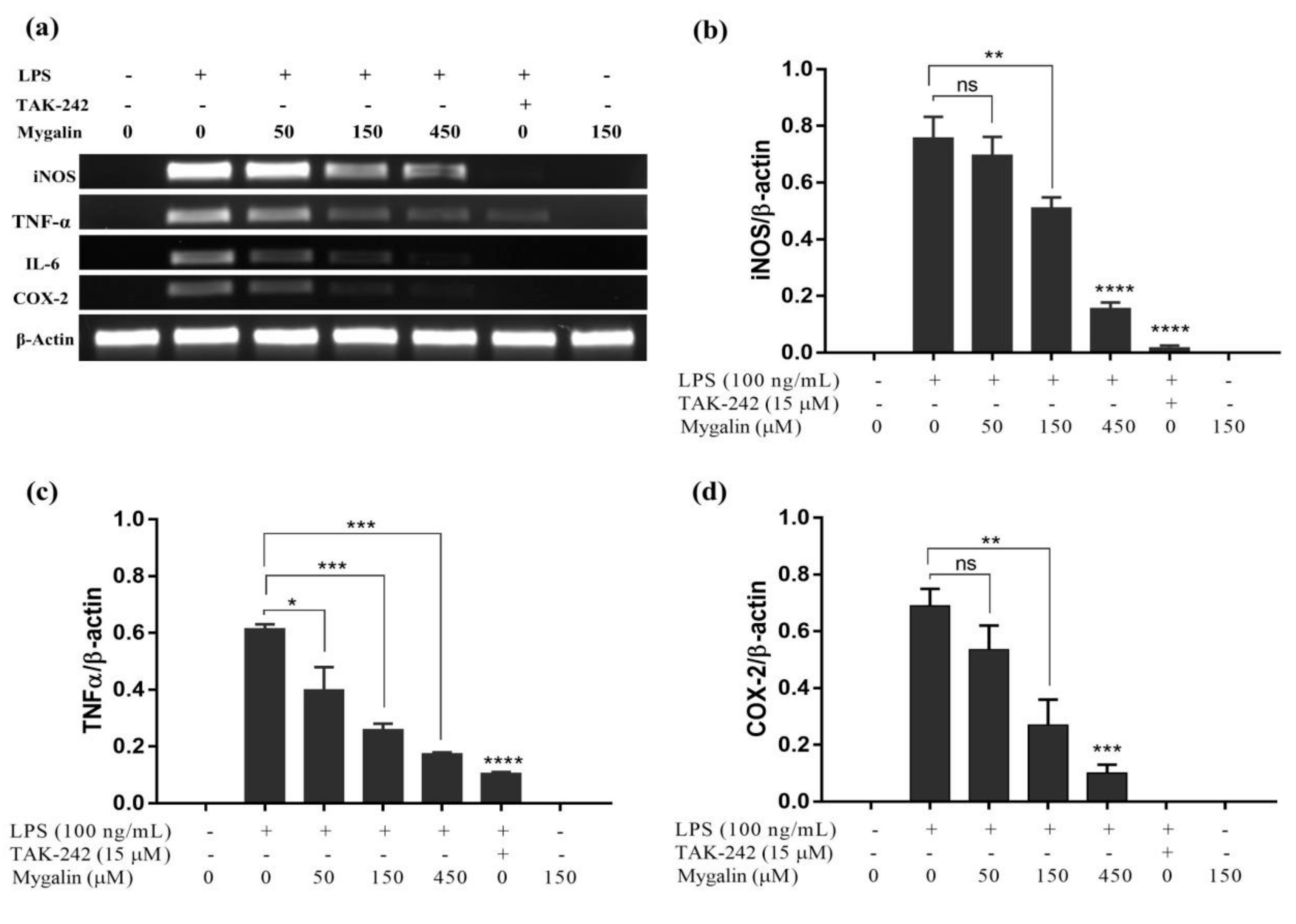 Biomolecules 10 01624 g004