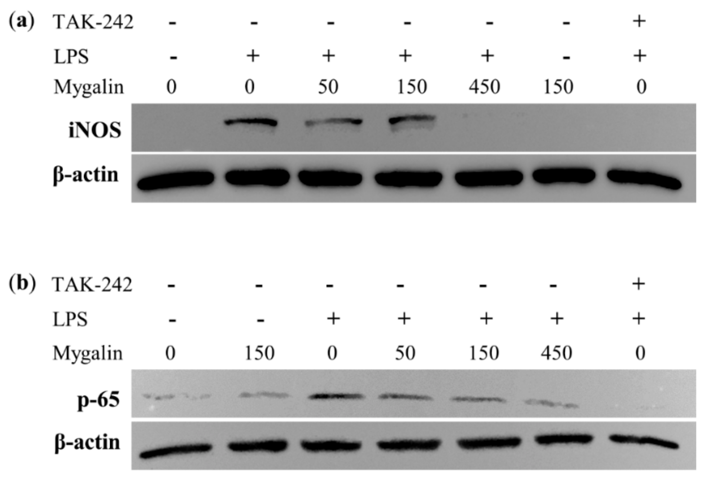 Biomolecules 10 01624 g010