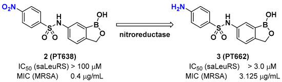 Biomolecules 10 01625 g003 550