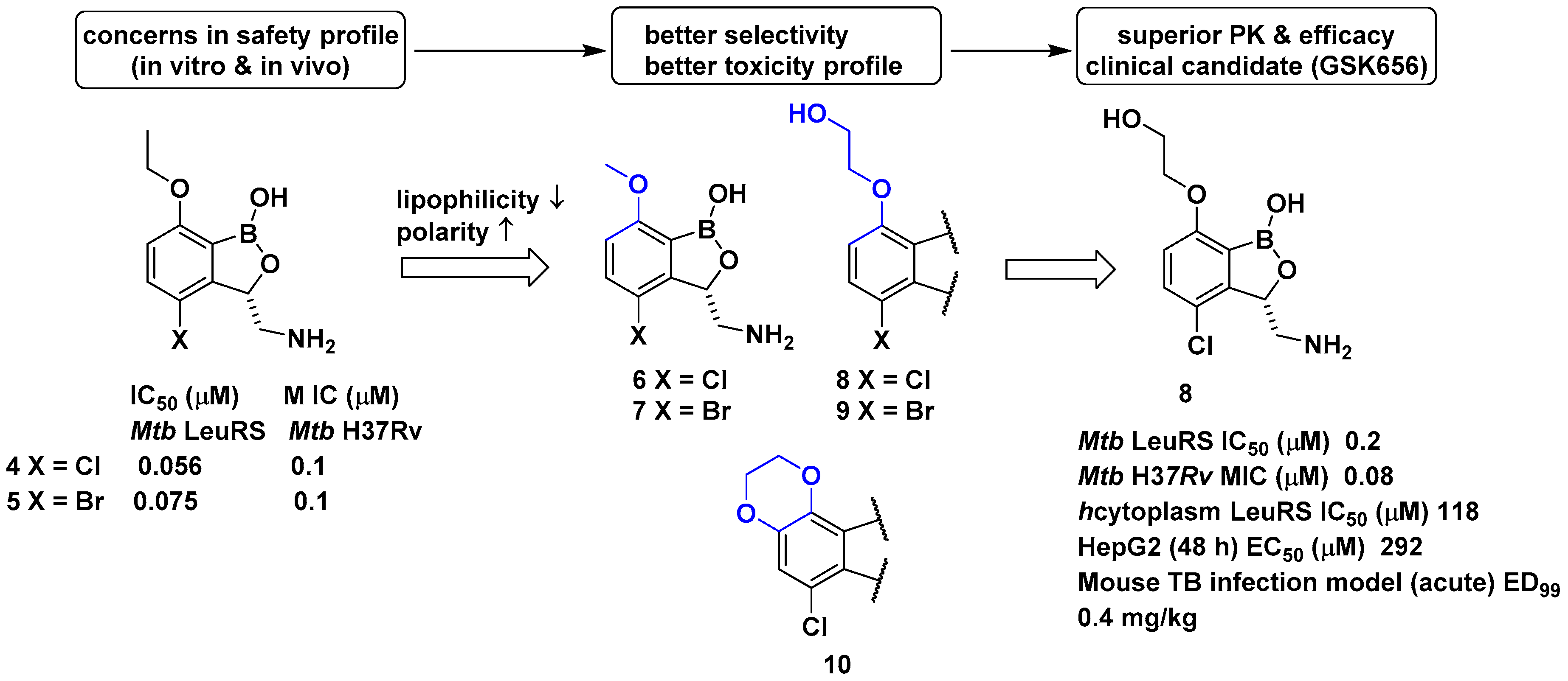 Biomolecules 10 01625 g004